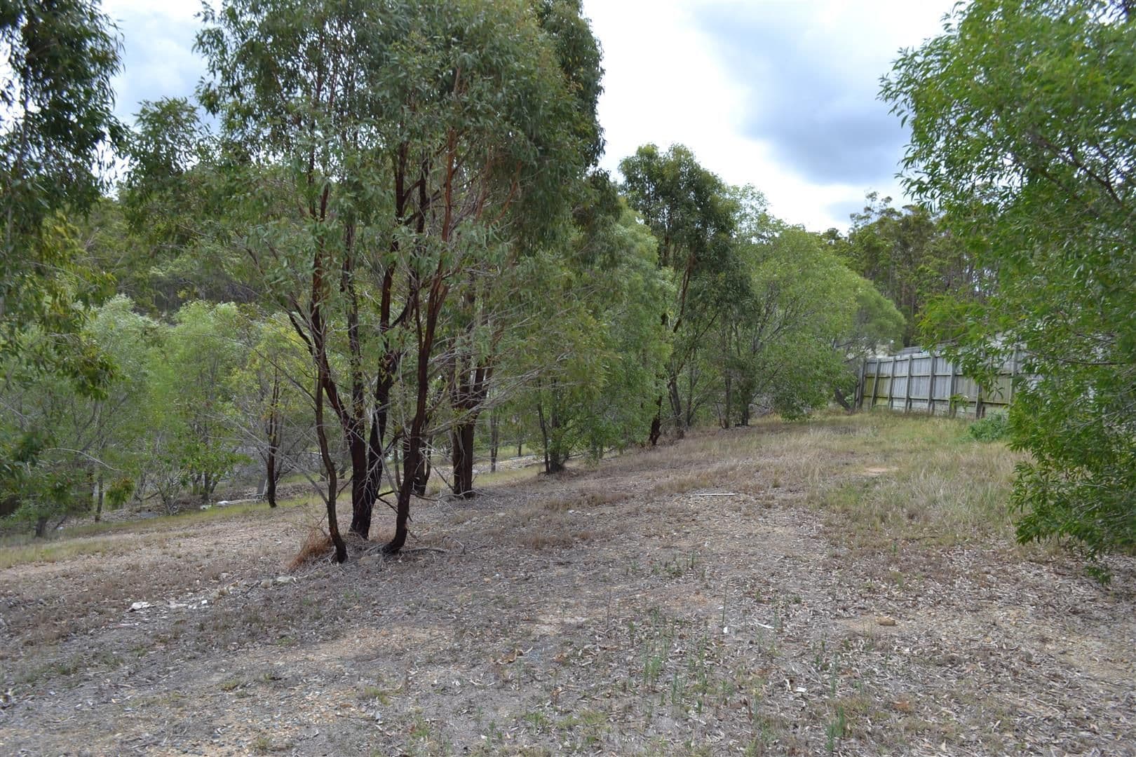 6 Matt Court, UPPER COOMERA QLD 4209, Upper Coomera - Thumbnail 3