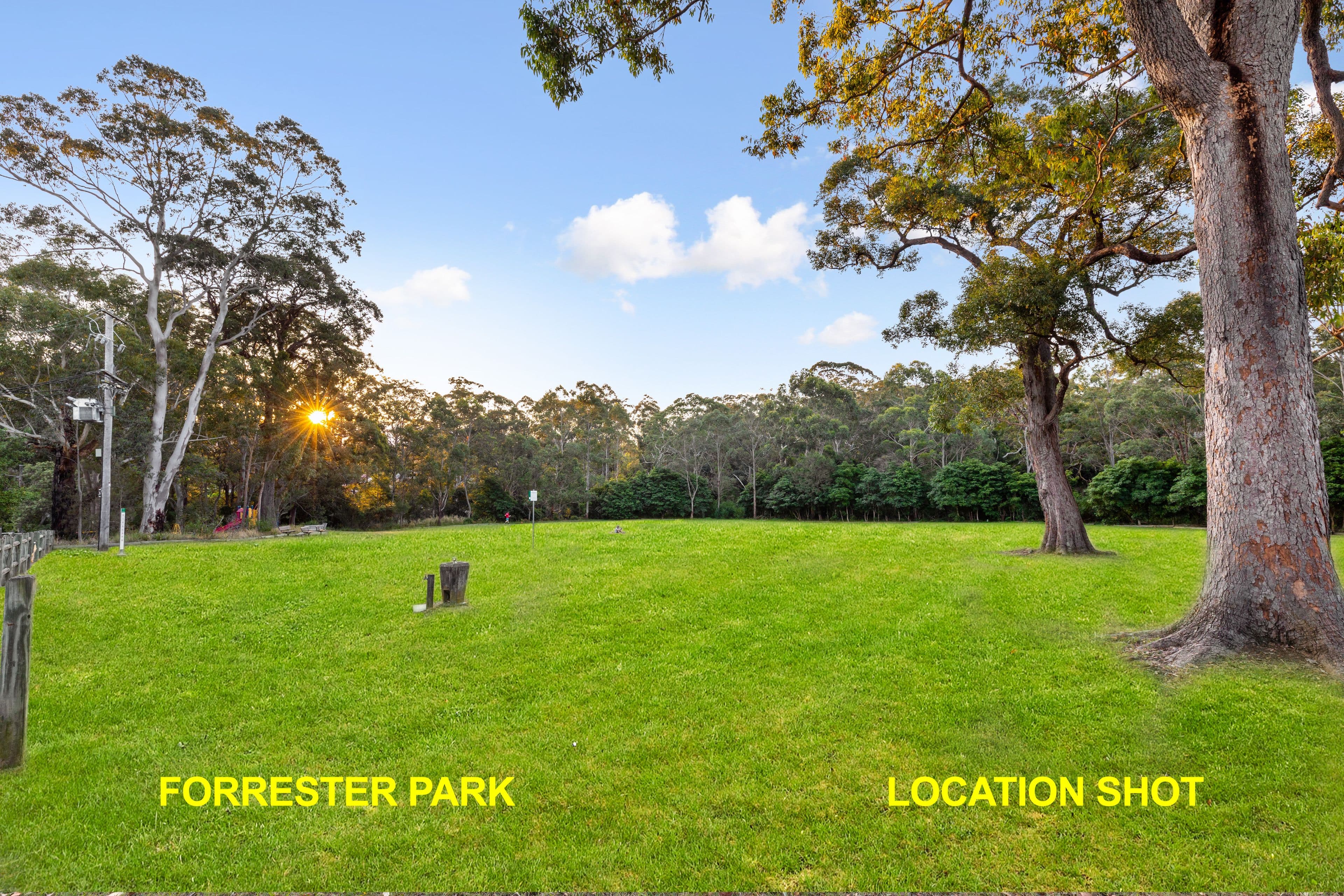 2 Wentworth Road, Eastwood NSW 2122, Eastwood - Thumbnail 3