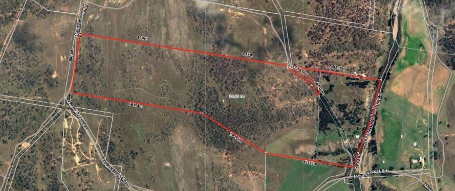 451 Mount Forest Road, Carlaminda NSW 2630, Carlaminda - Image 1