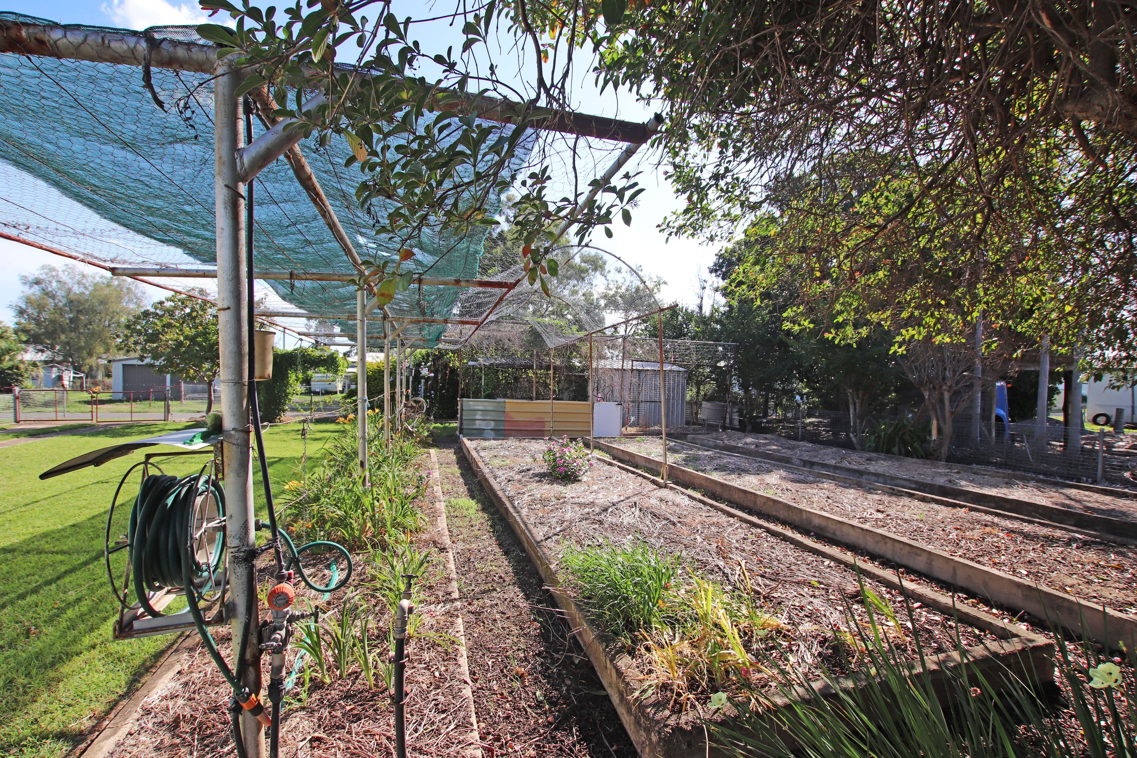 9 Kariboe Street, Biloela QLD 4715, Biloela - Thumbnail 4