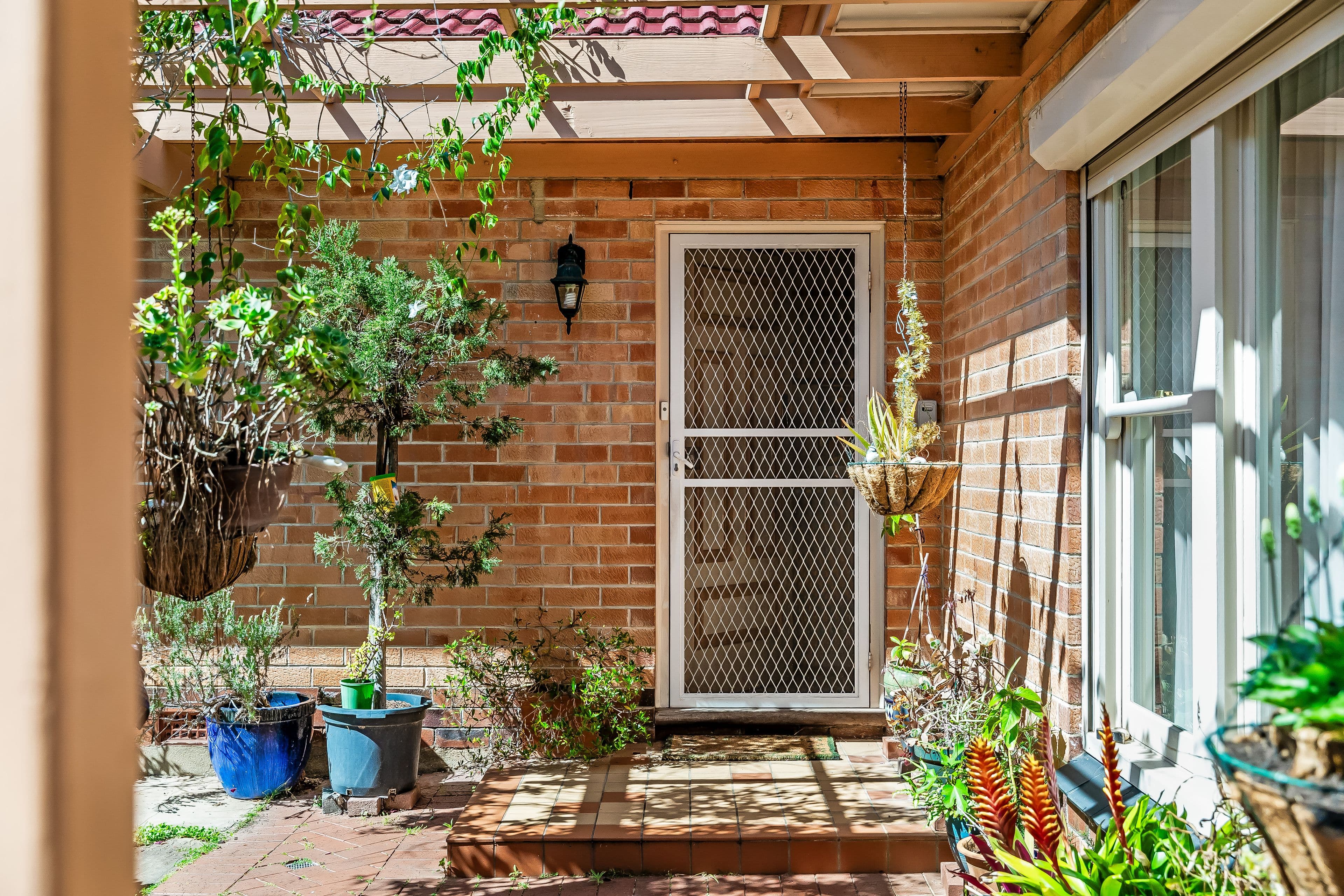 12 Llanfair Terrace, Westbourne Park SA 5041, Westbourne Park - Thumbnail 3