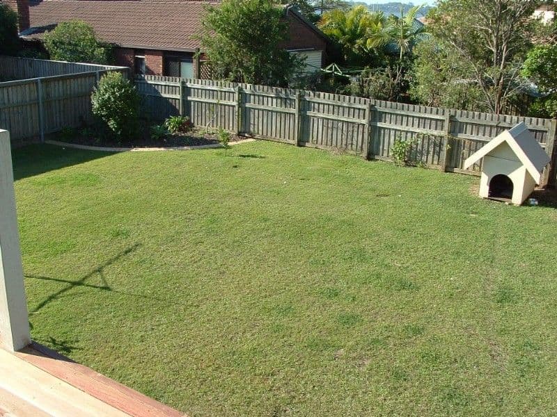 14 Dorsal Drive, BIRKDALE QLD 4159, Birkdale - Thumbnail 4