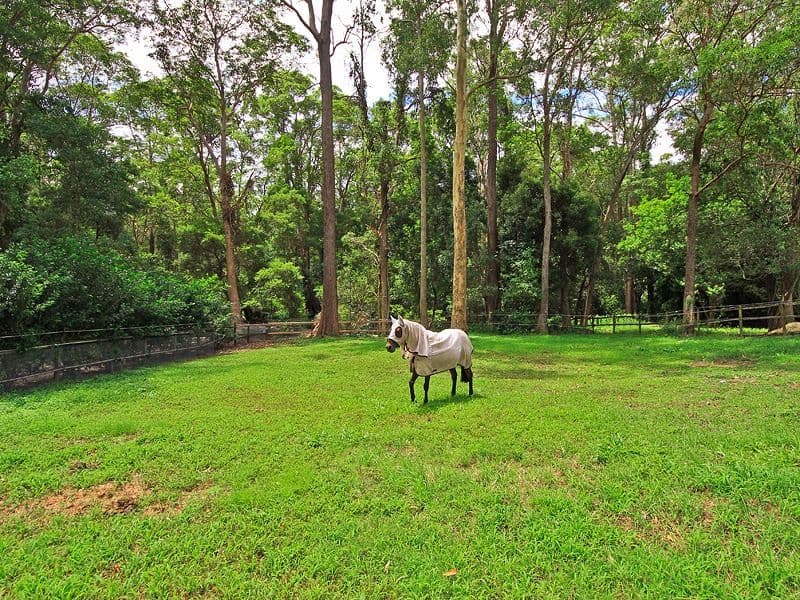 53 Birdlife Court, NERANG QLD 4211, Nerang - Image 1