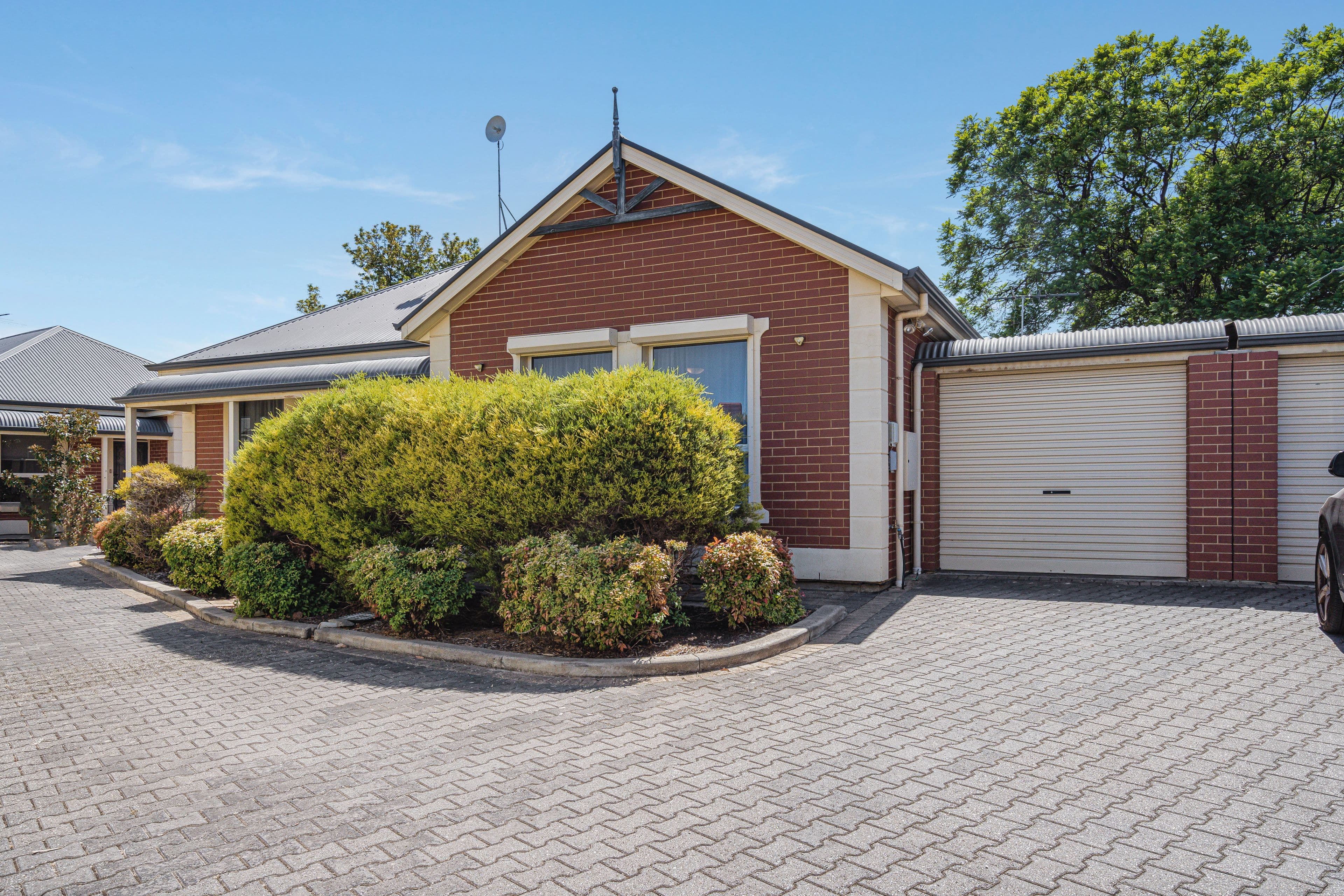 12 Gordon Avenue, Clearview SA 5085, Clearview - Image 1