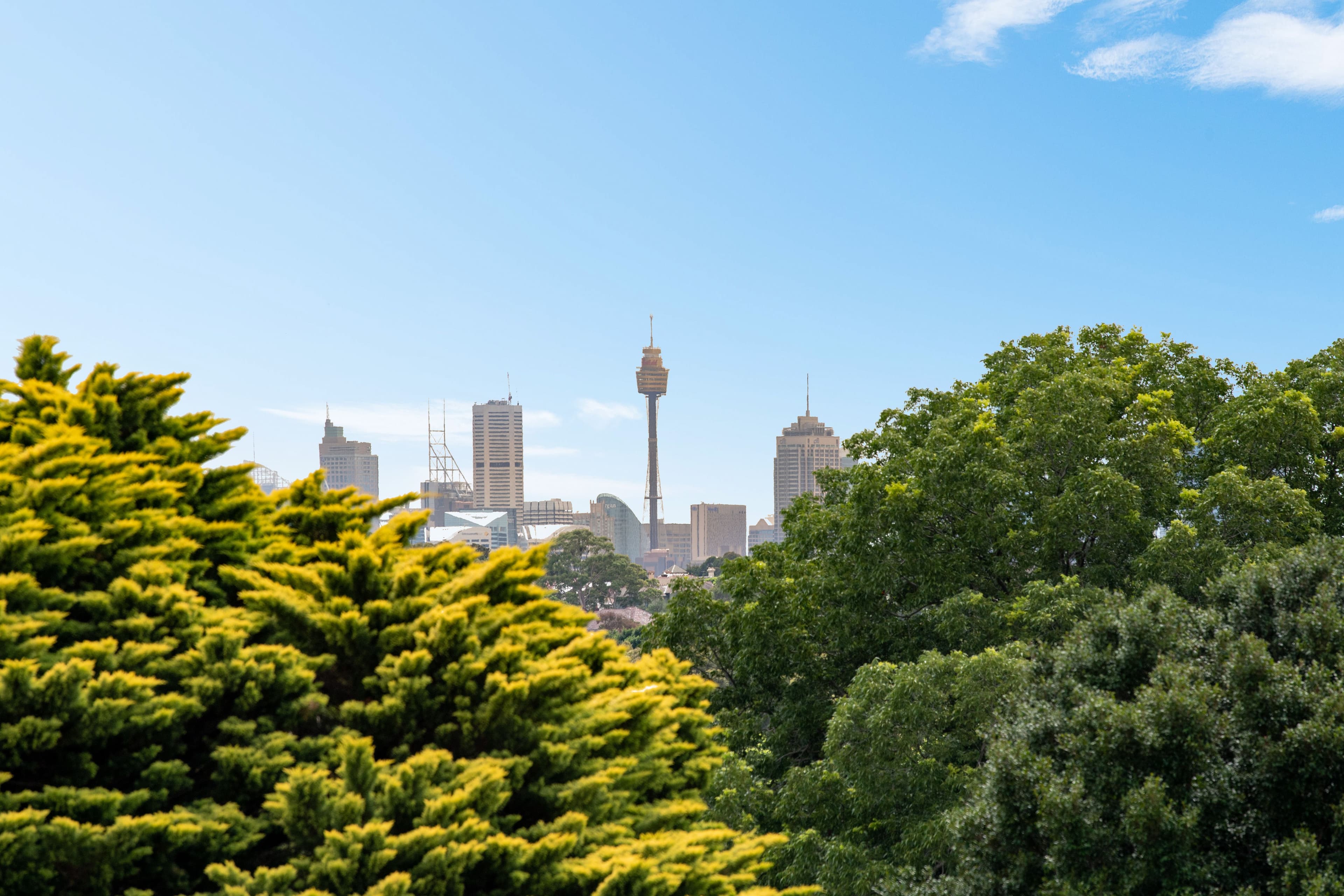 3 George Street, Marrickville NSW 2204, Marrickville - Image 1