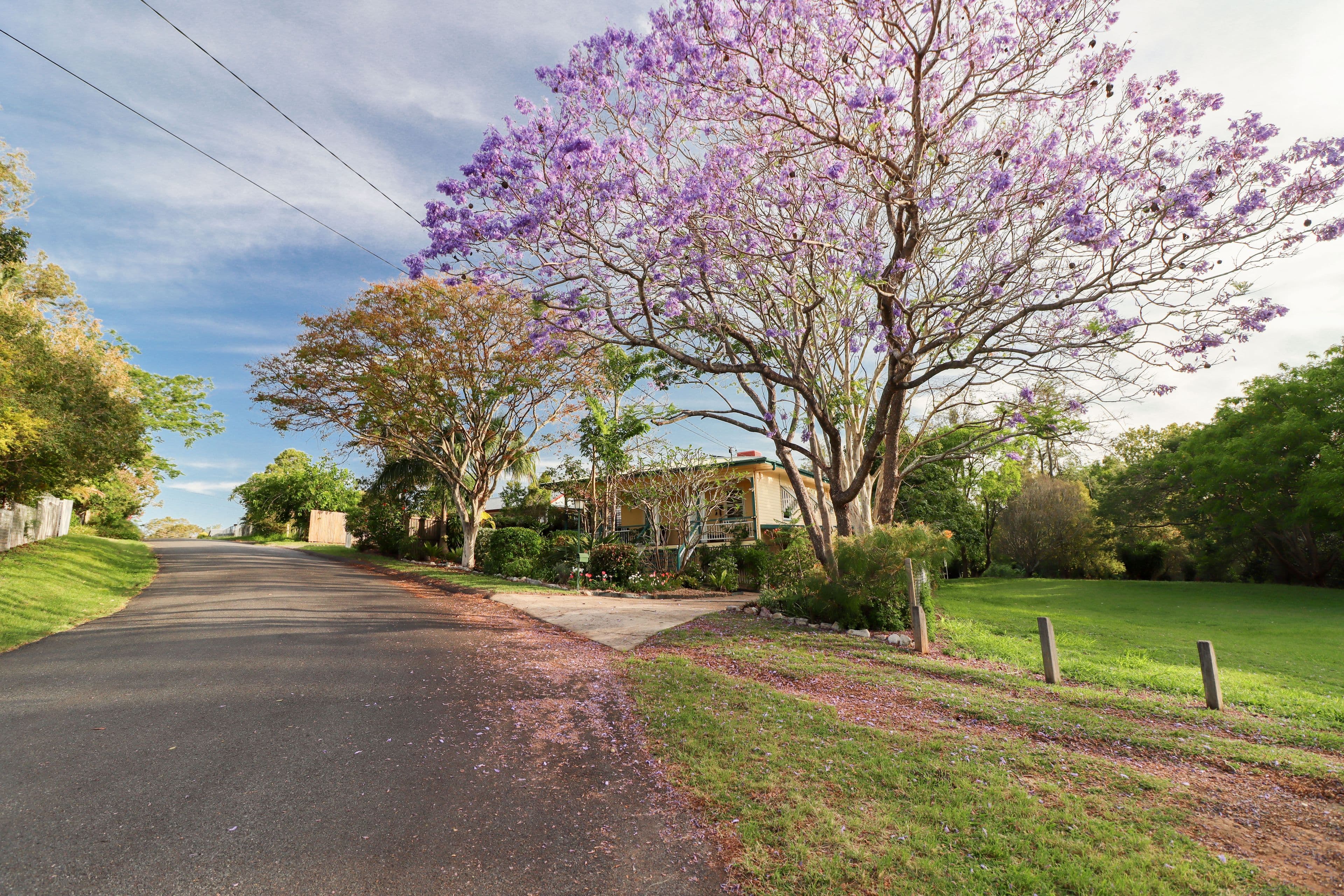 20 Finimore Street, Tivoli QLD 4305, Tivoli - Thumbnail 4