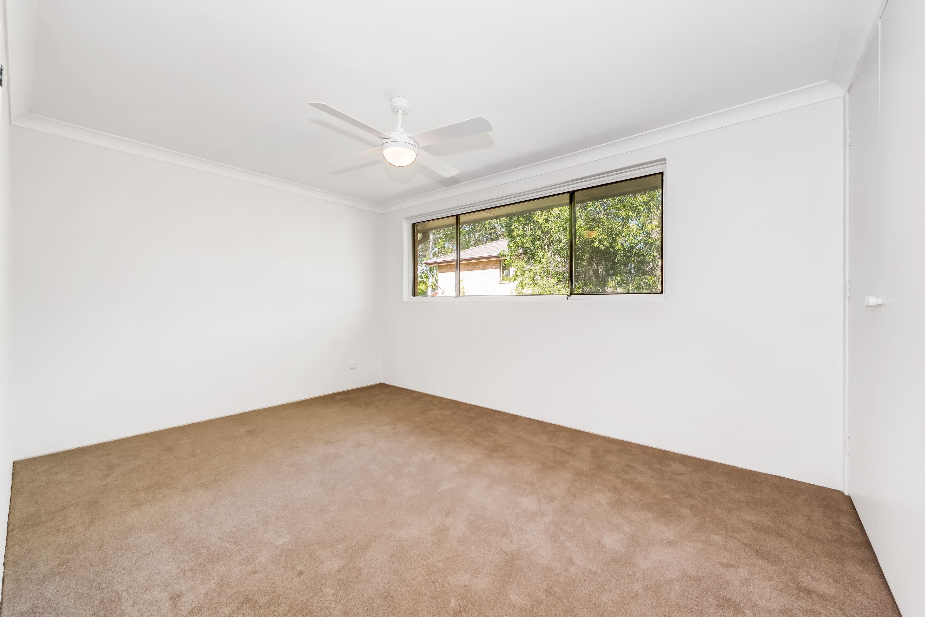 126 Crimea Road, Marsfield NSW 2122, Marsfield - Thumbnail 5