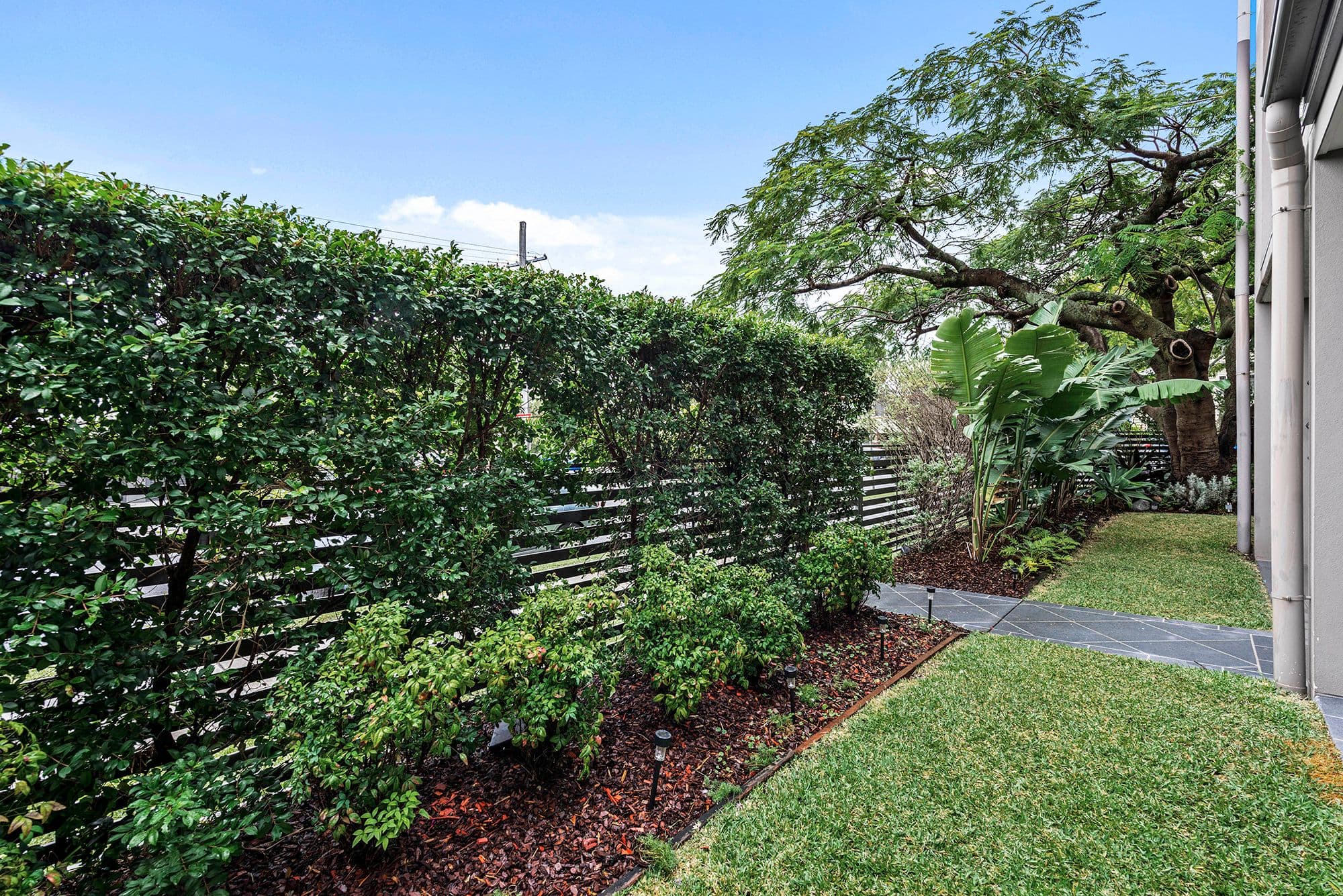 142 Ridge Street, Northgate QLD 4013, Northgate - Thumbnail 4