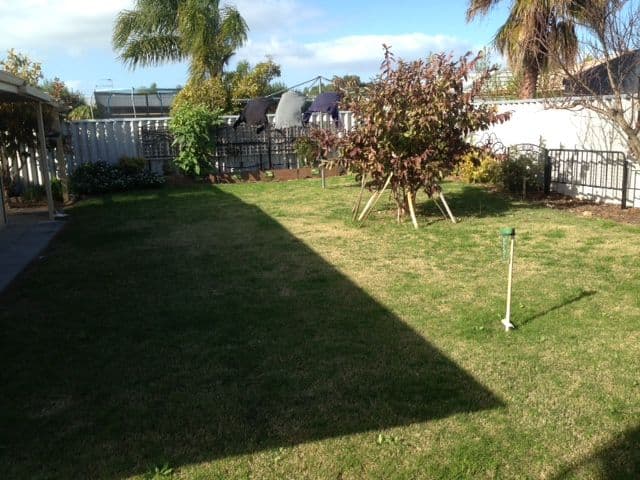 9 Colville Street, WAIKIKI WA 6169, Waikiki - Thumbnail 2