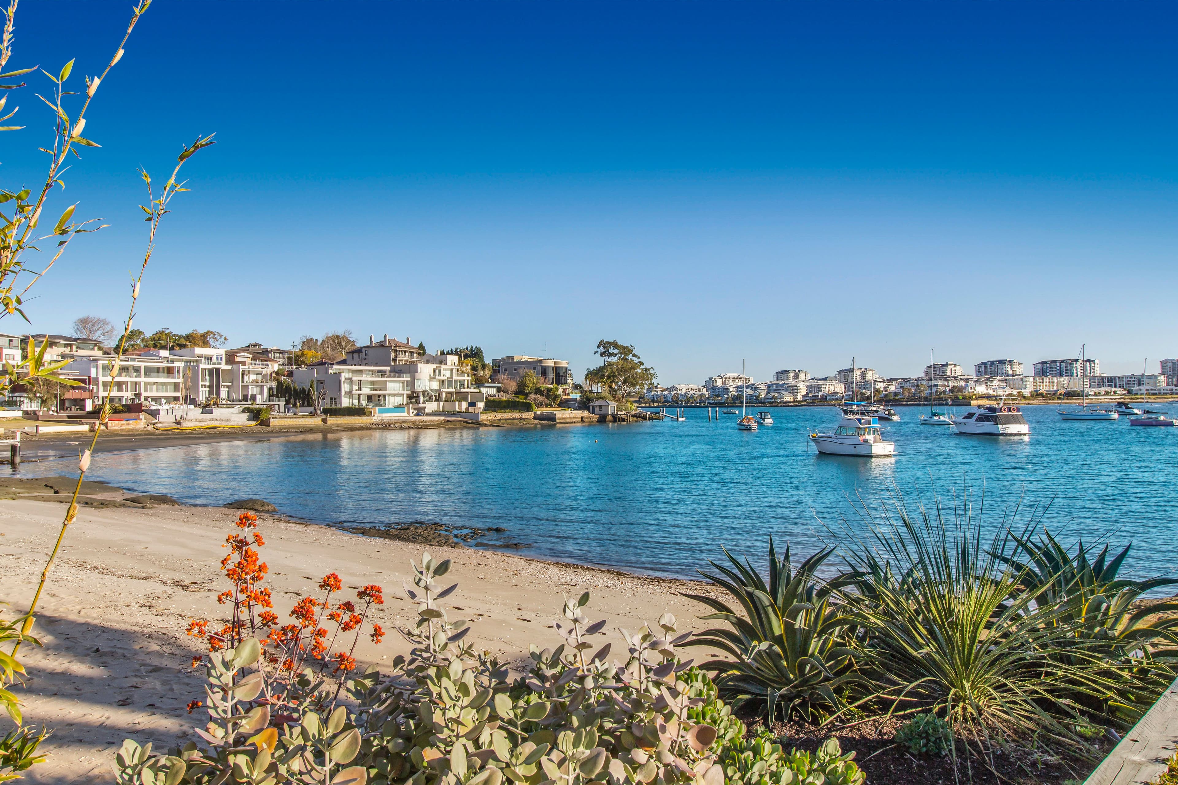 25 Beach Street, Tennyson Point - Thumbnail 4