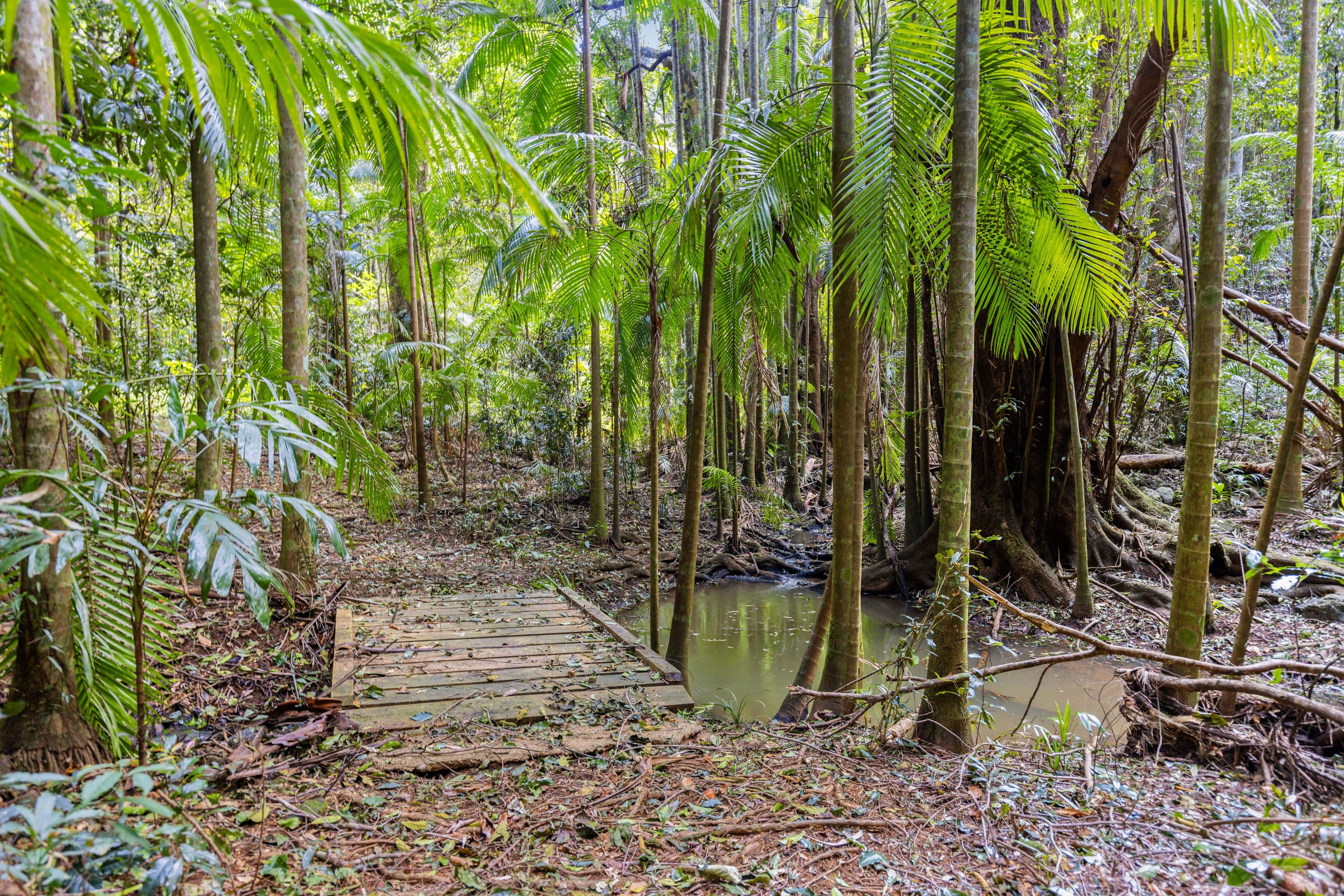 15 Mitchell Lane, Witta QLD 4552, Witta - Thumbnail 5
