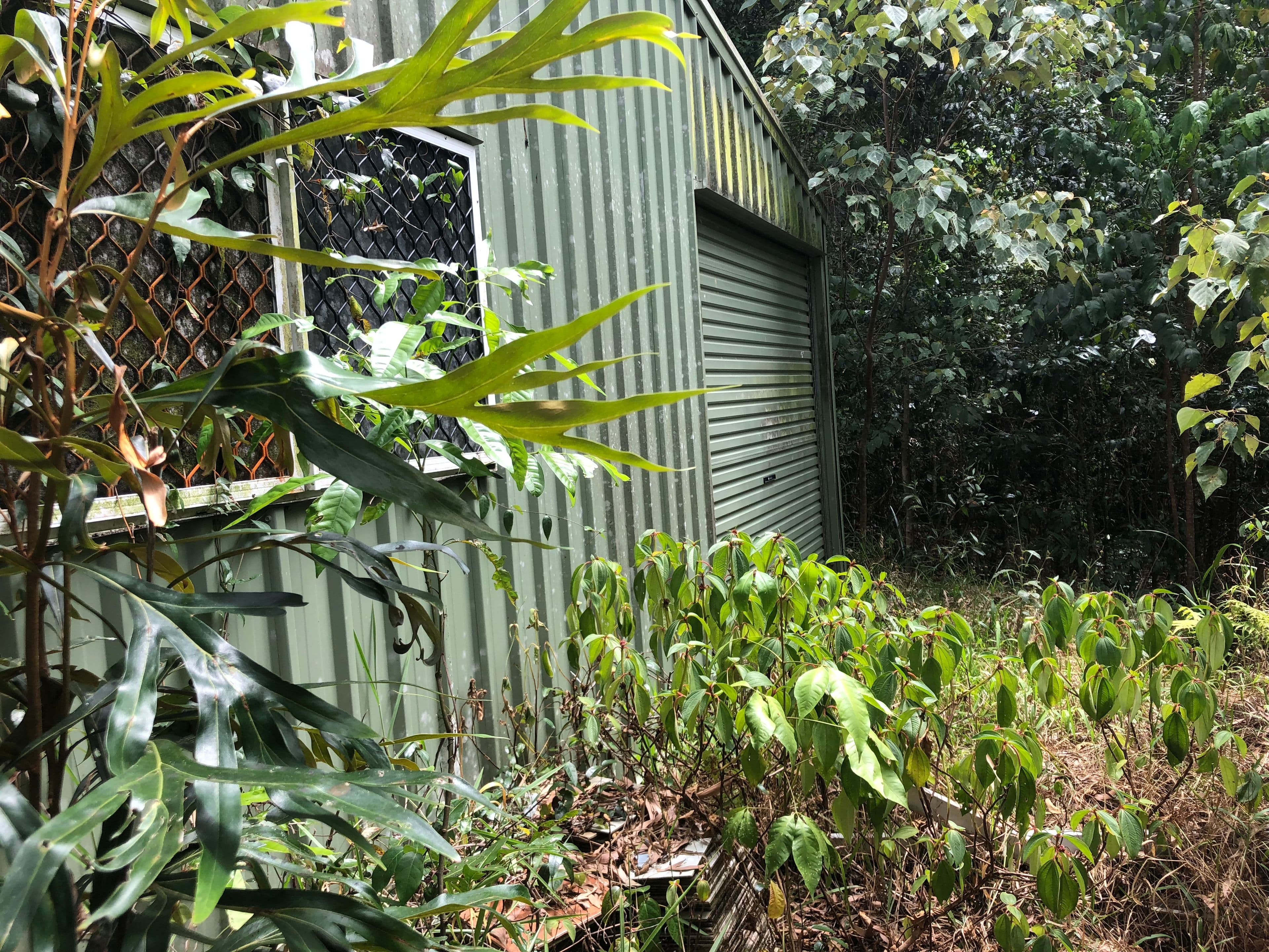 67 Ronald Road, Forest Creek QLD 4873, Forest Creek - Thumbnail 5