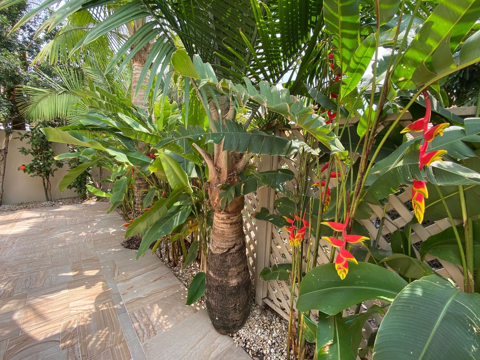 60 Caseys Road, Hope Island QLD 4212, Hope Island - Thumbnail 4