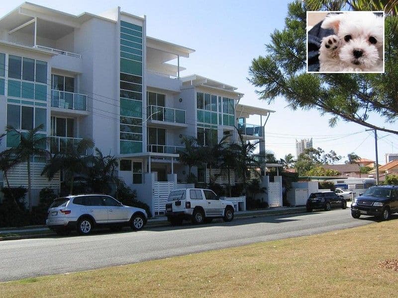 5 'Reflections On The Park' Aruma Street, CHEVRON ISLAND QLD 4217, Chevron Island - Thumbnail 3