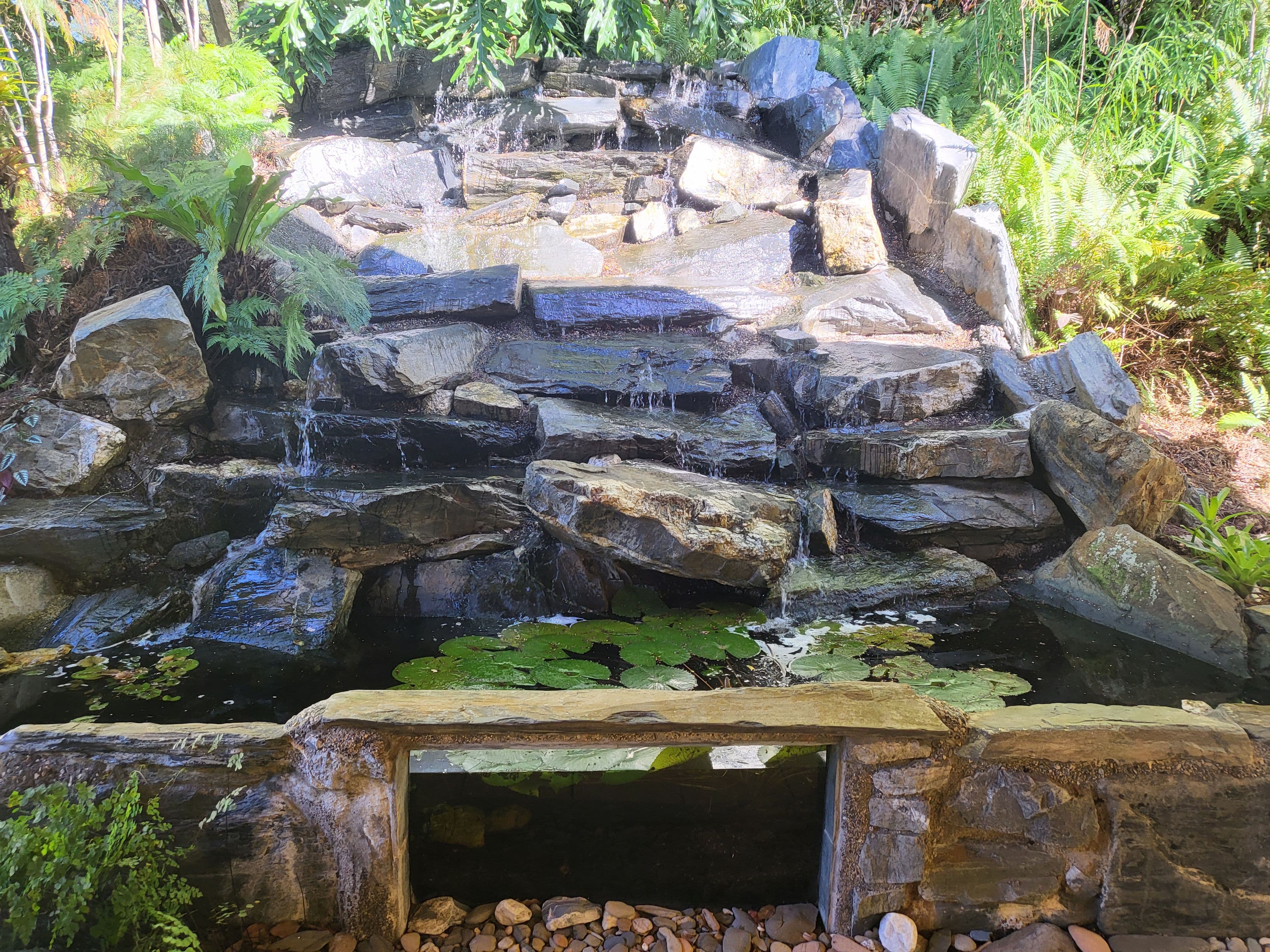 2 Seaview Court (via Port Douglas), Rocky Point QLD 4873, Rocky Point - Thumbnail 4