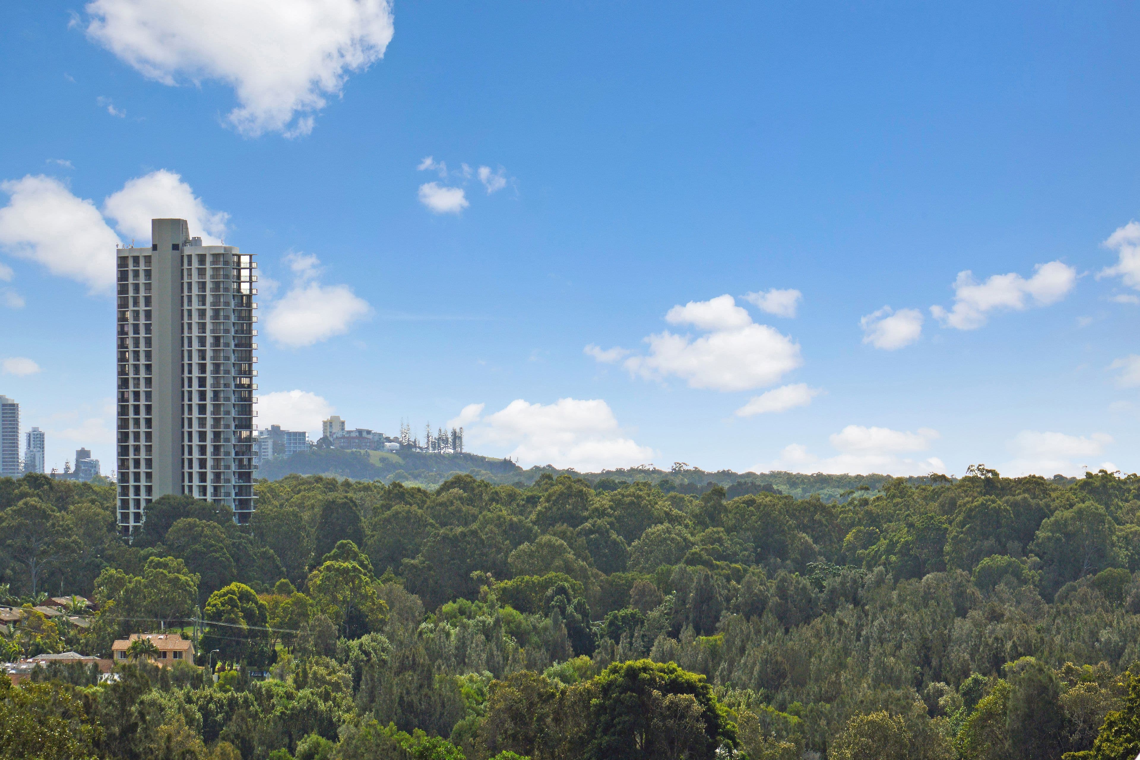 20 Elsie Street, Banora Point - Thumbnail 5