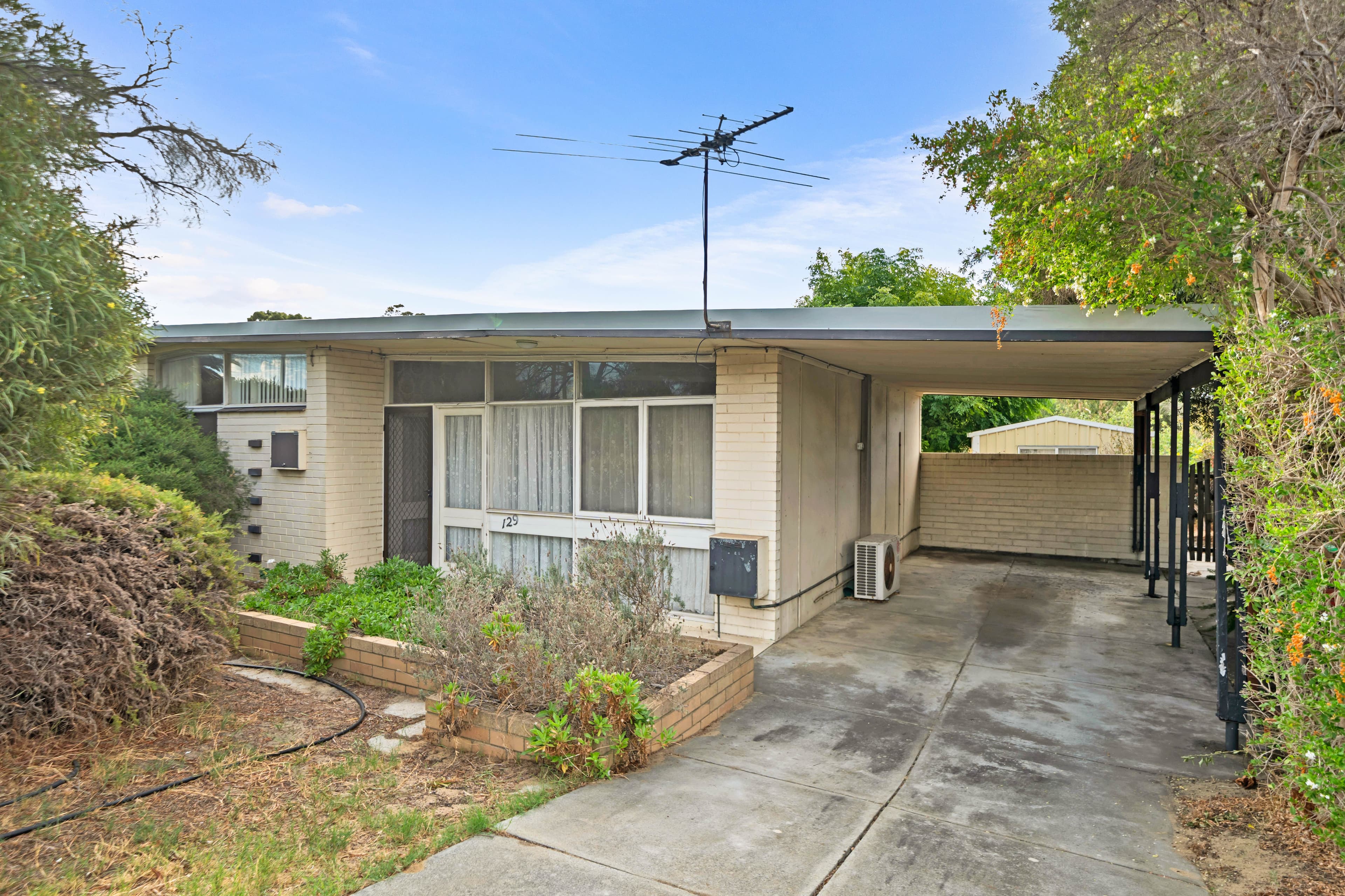 129 Amelia Street, Balcatta WA 6021, Balcatta - Thumbnail 2
