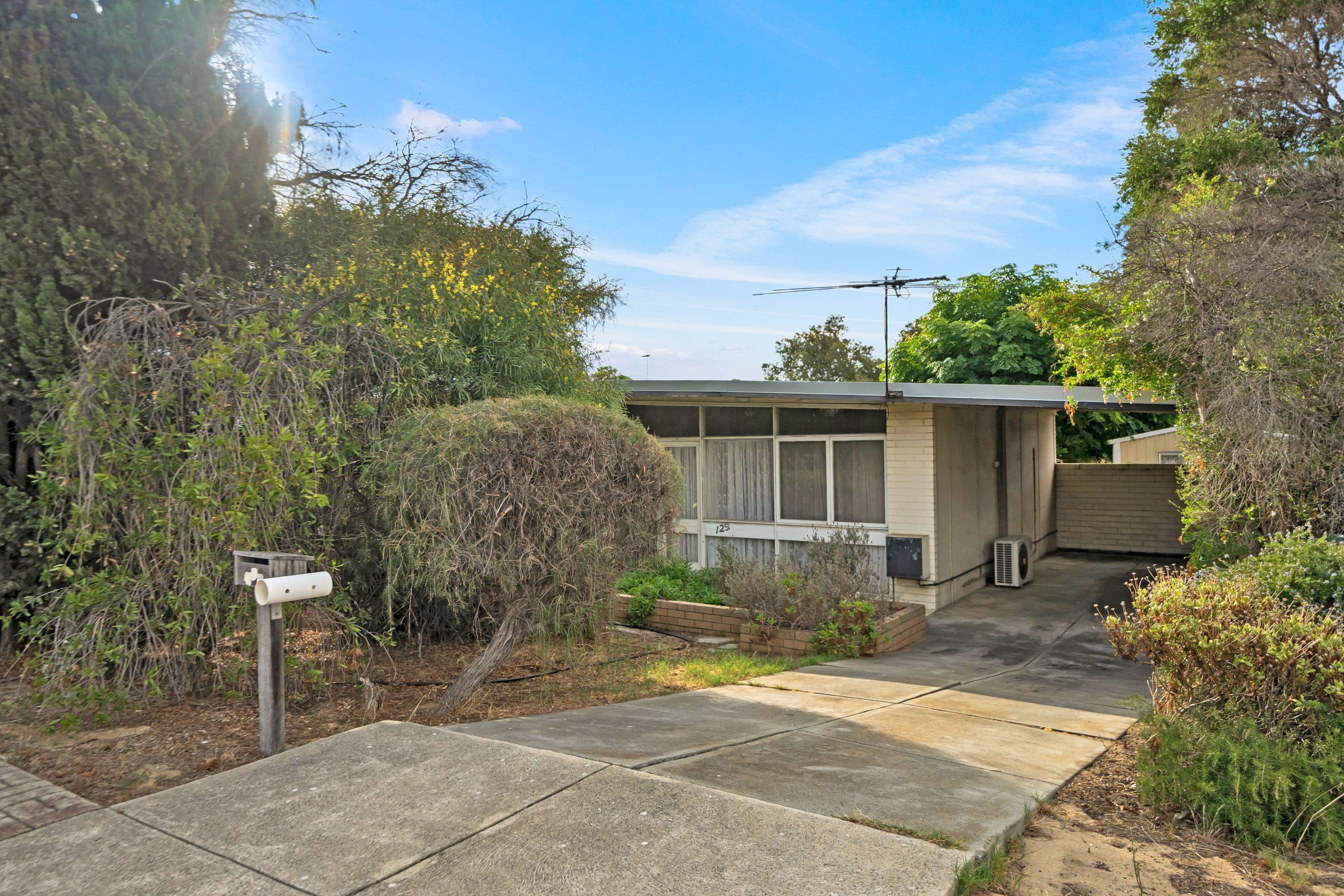 129 Amelia Street, Balcatta WA 6021, Balcatta - Thumbnail 4