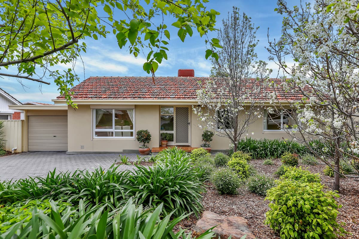 15 Anita Avenue, Gilles Plains SA 5086, Gilles Plains - Image 1
