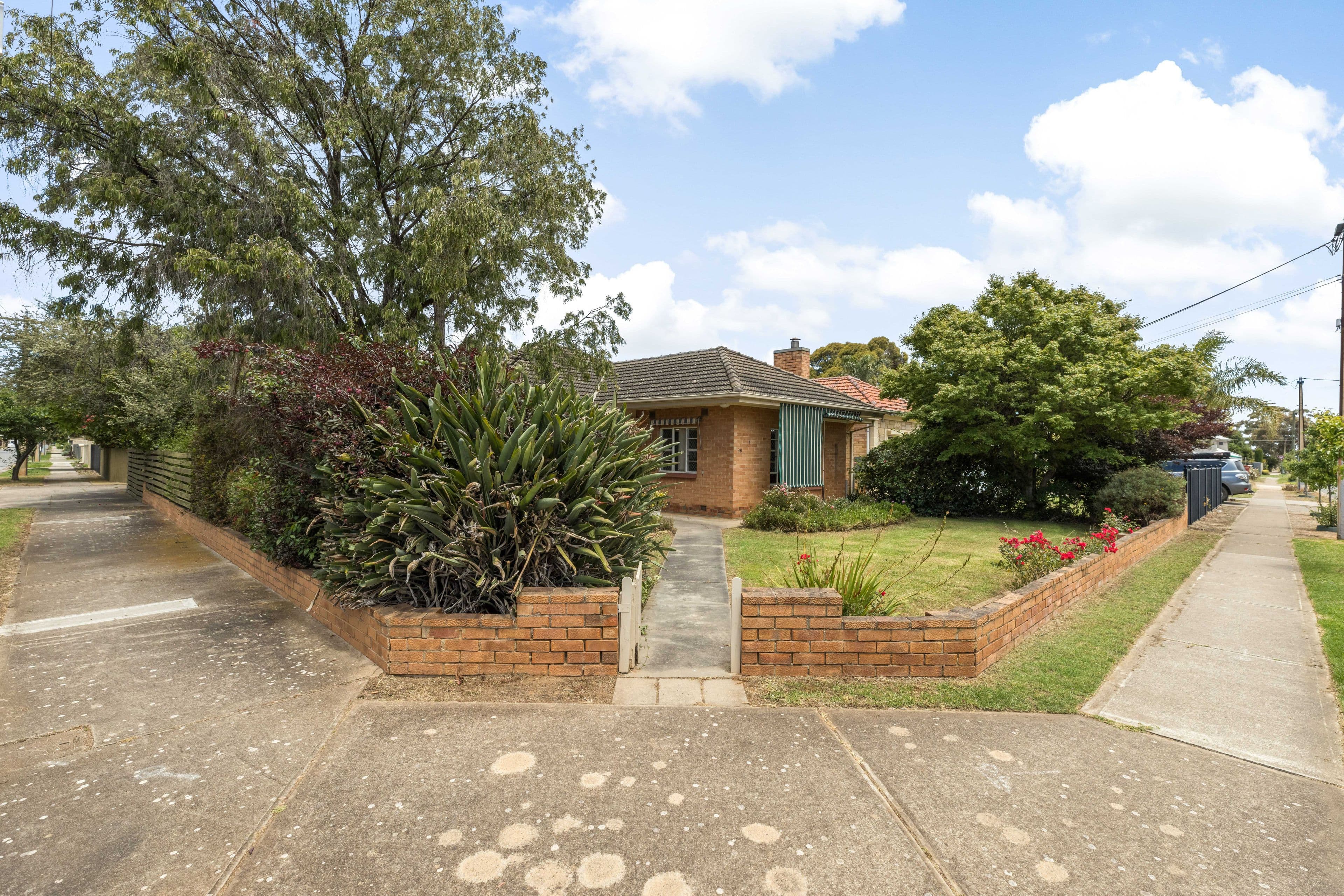 38 Sunshine Avenue, Warradale SA 5046, Warradale - Thumbnail 3