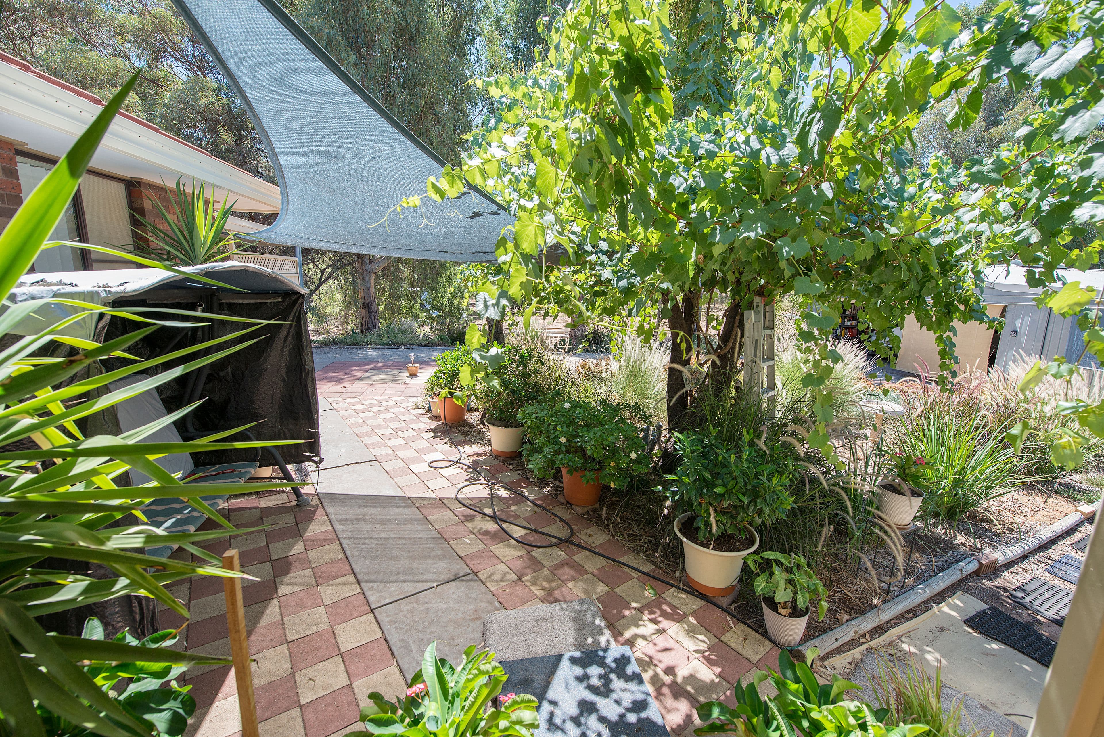 529 Lakeside Drive, Lake Boga VIC 3584, Lake Boga - Thumbnail 6