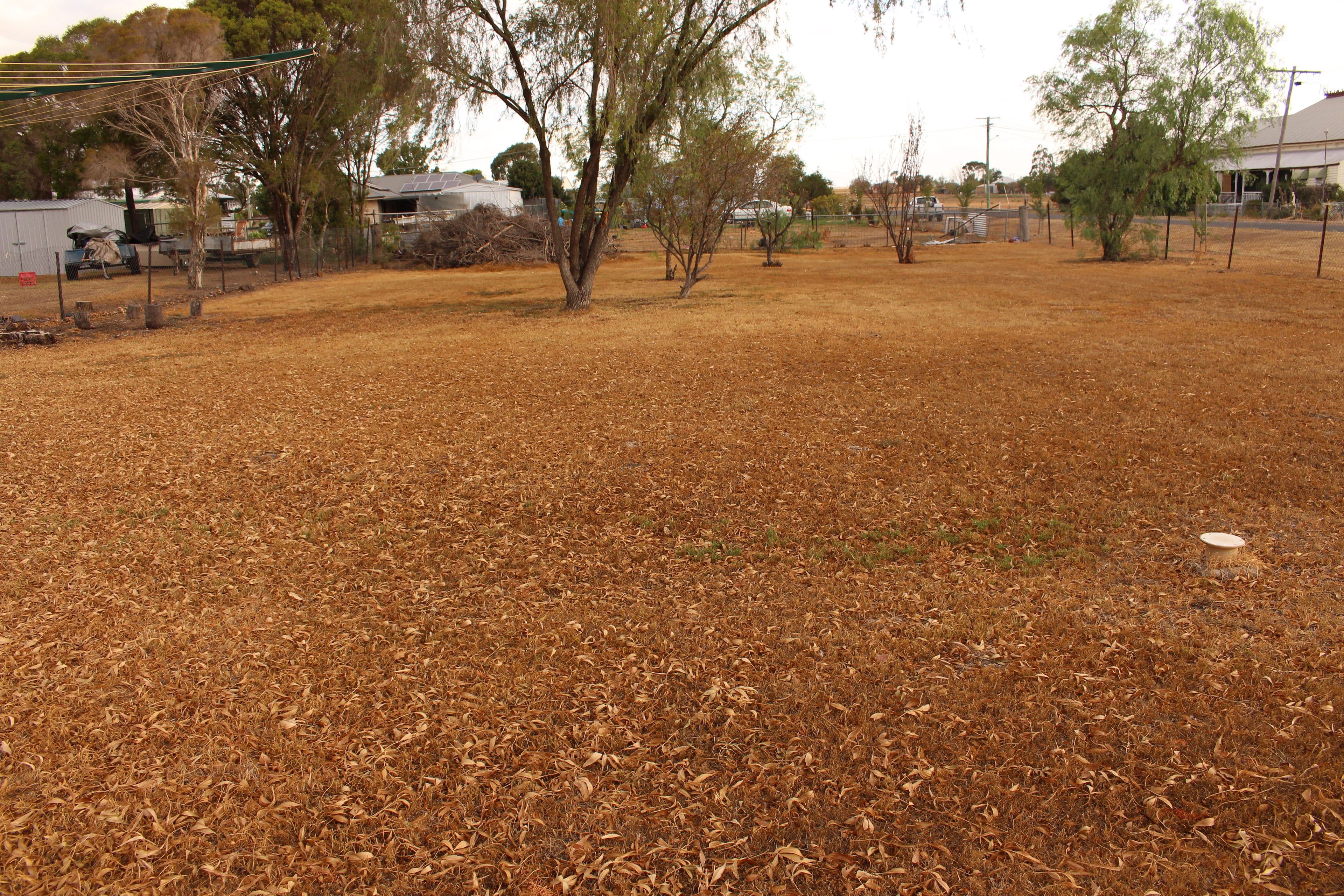 19 Commonwealth Street, Clifton QLD 4361, Clifton - Thumbnail 3