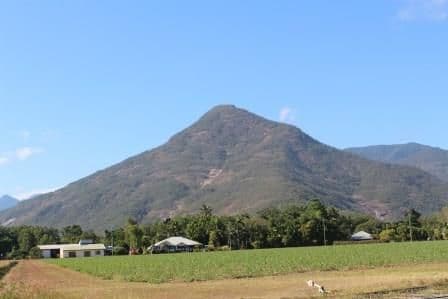 2 Davids Street, GORDONVALE QLD 4865, Gordonvale - Thumbnail 4