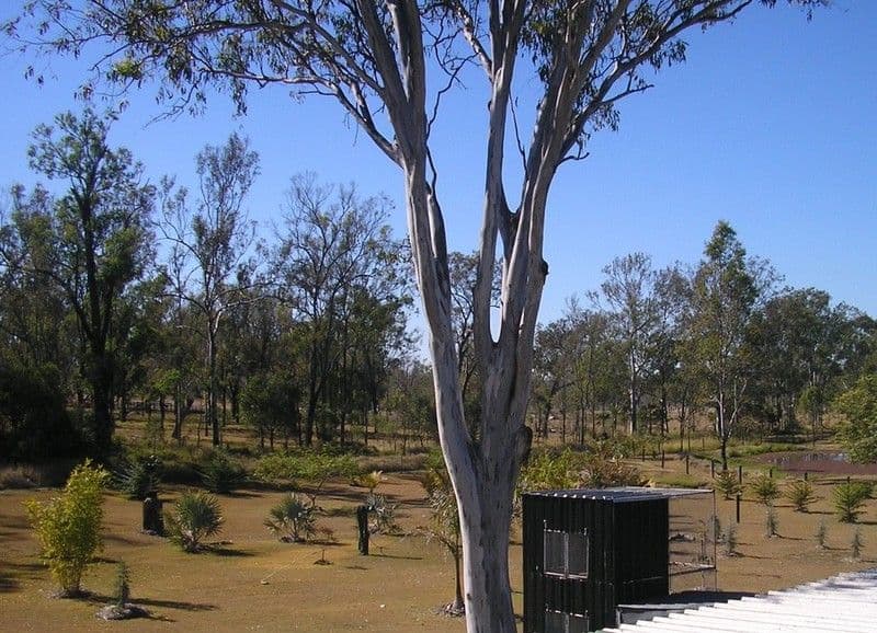 KENSINGTON GROVE QLD 4341, Kensington Grove - Thumbnail 3