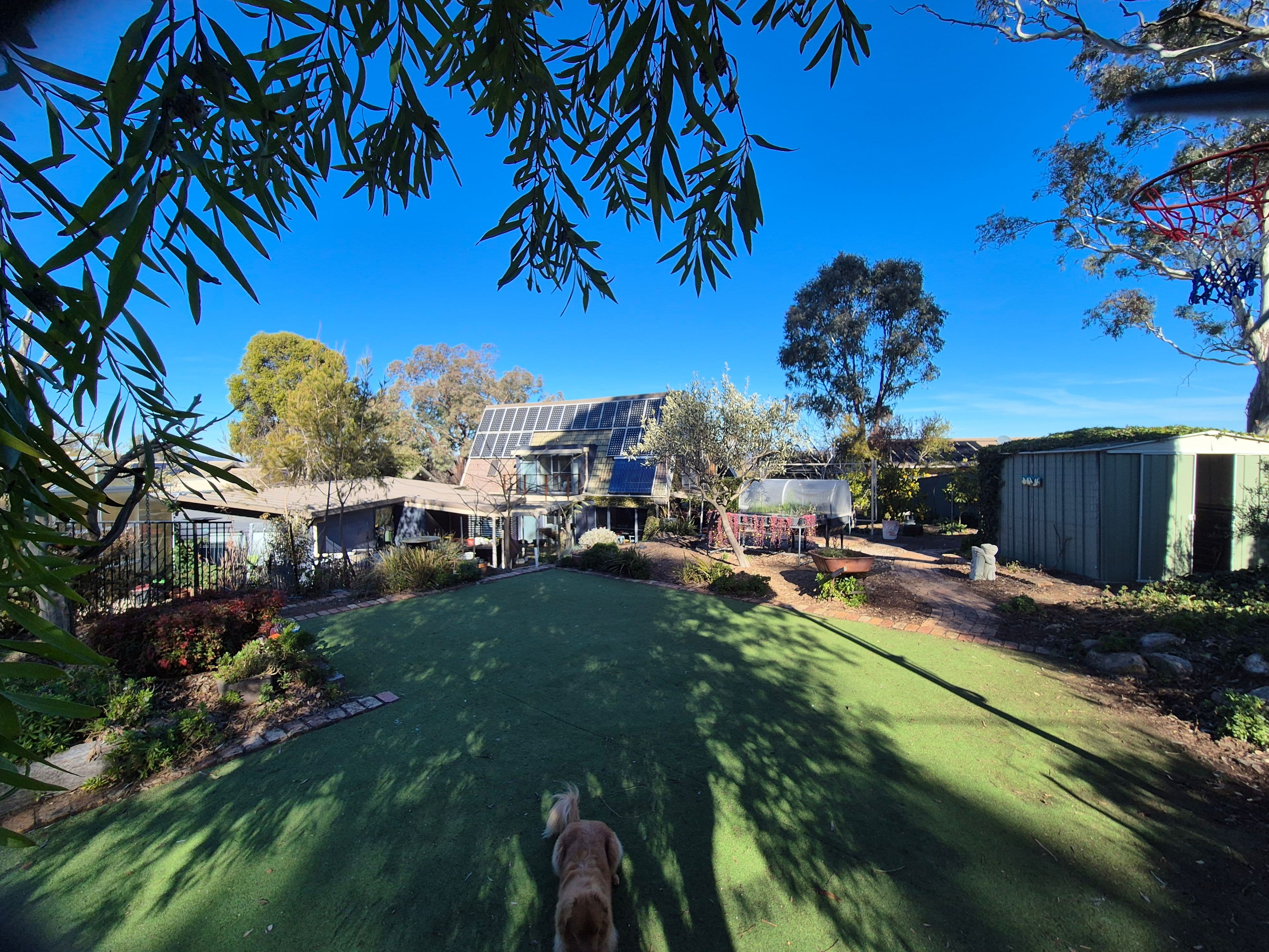 33 Sampson Close, Melba ACT 2615, Melba - Thumbnail 4