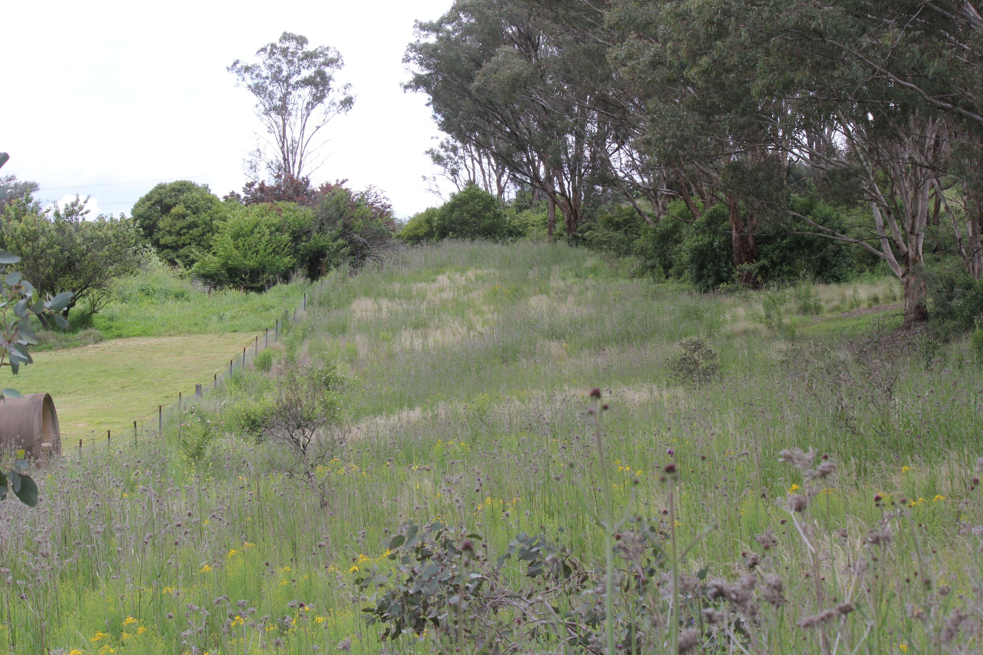 71 Mudgee Street, Sofala NSW 2795, Sofala - Image 1