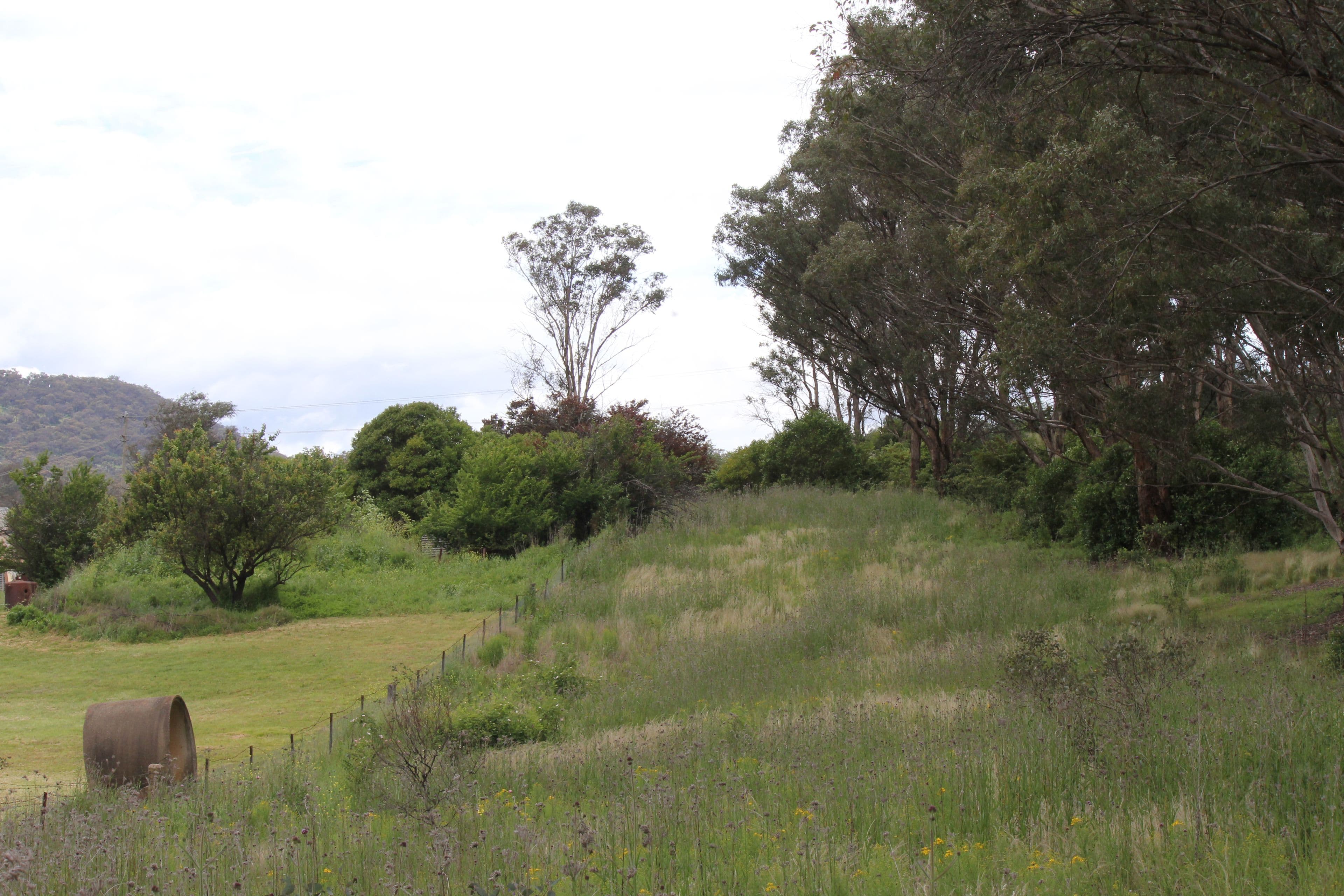 71 Mudgee Street, Sofala NSW 2795, Sofala - Thumbnail 6