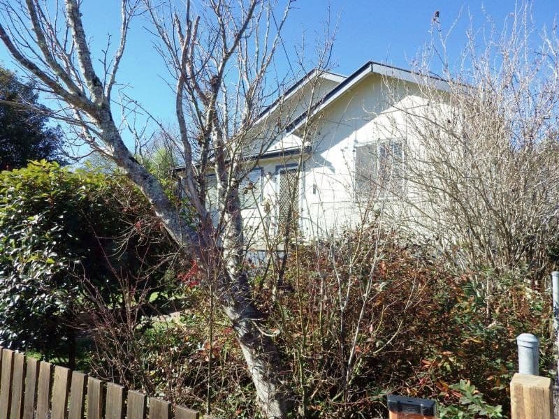 95 Hickory Street, Dorrigo - Image 1