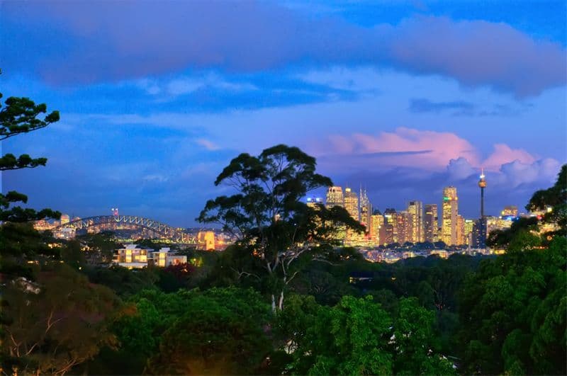 316 Pacific Highway, LANE COVE NSW 2066, Lane Cove - Image 1