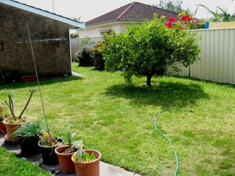 34  Neptune Street, UMINA BEACH NSW 2257, Umina Beach - Thumbnail 5