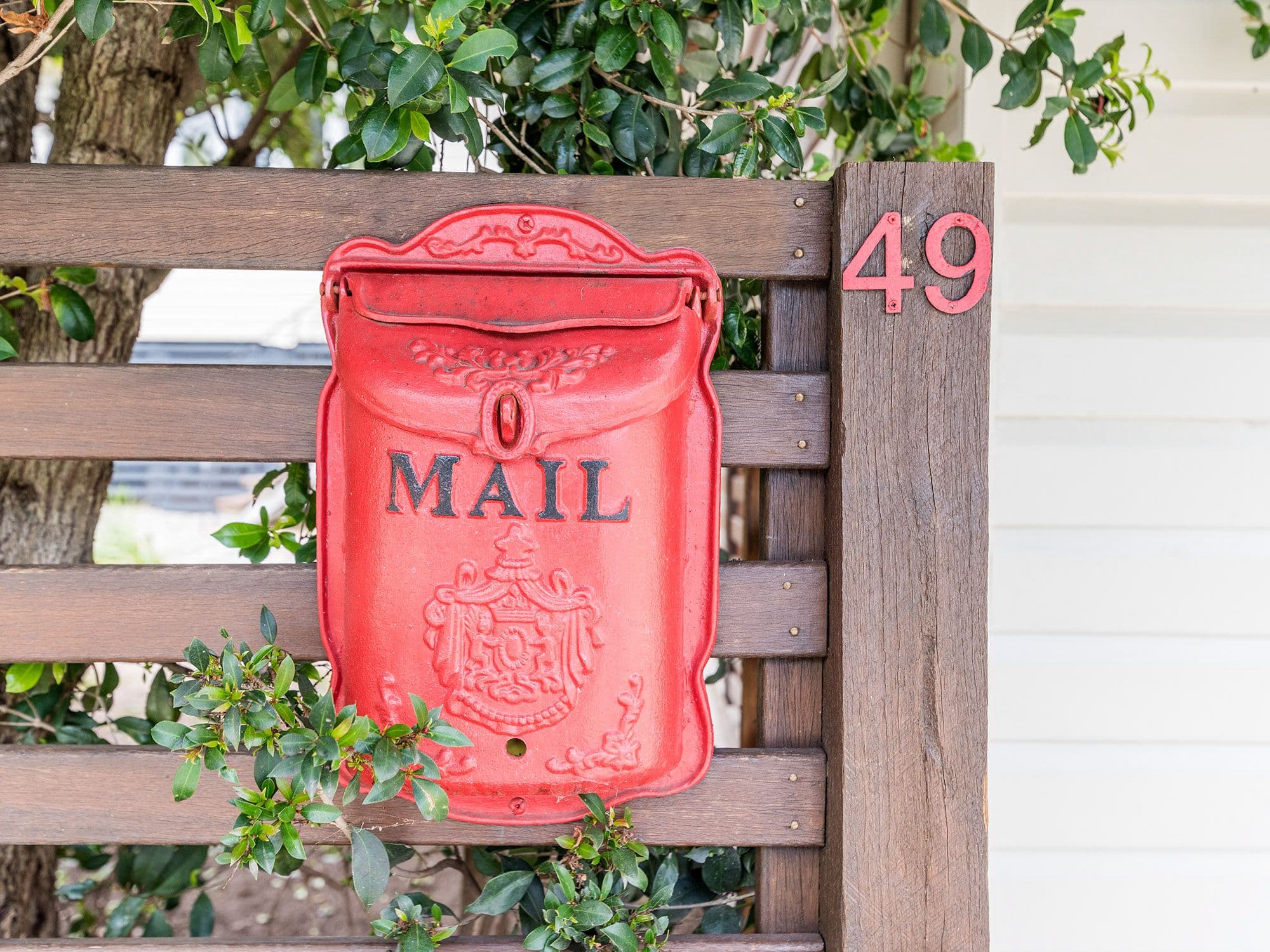 49 Clough Street, Mount Gravatt QLD 4122, Mount Gravatt - Thumbnail 2