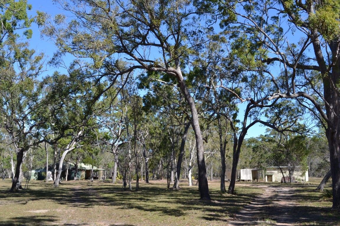 73 Pacific Haven Circuit, PACIFIC HAVEN QLD 4659, Pacific Haven - Thumbnail 5