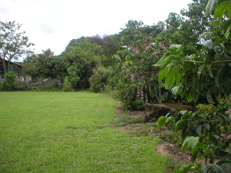 MACKNADE QLD 4850, Macknade - Thumbnail 4
