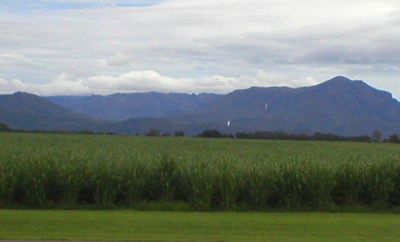 MACKNADE QLD 4850, Macknade - Thumbnail 5