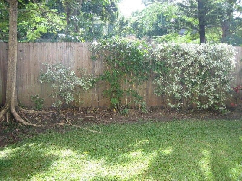 58 Intake Road, REDLYNCH QLD 4870, Redlynch - Thumbnail 3