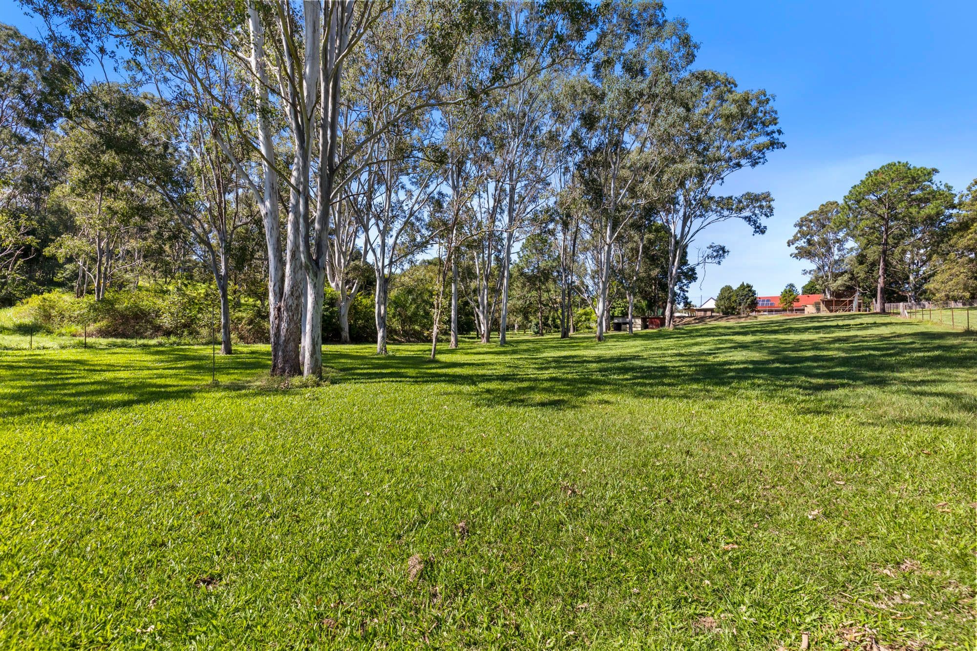 8 Vores Road, Whiteside QLD 4503, Whiteside - Thumbnail 3