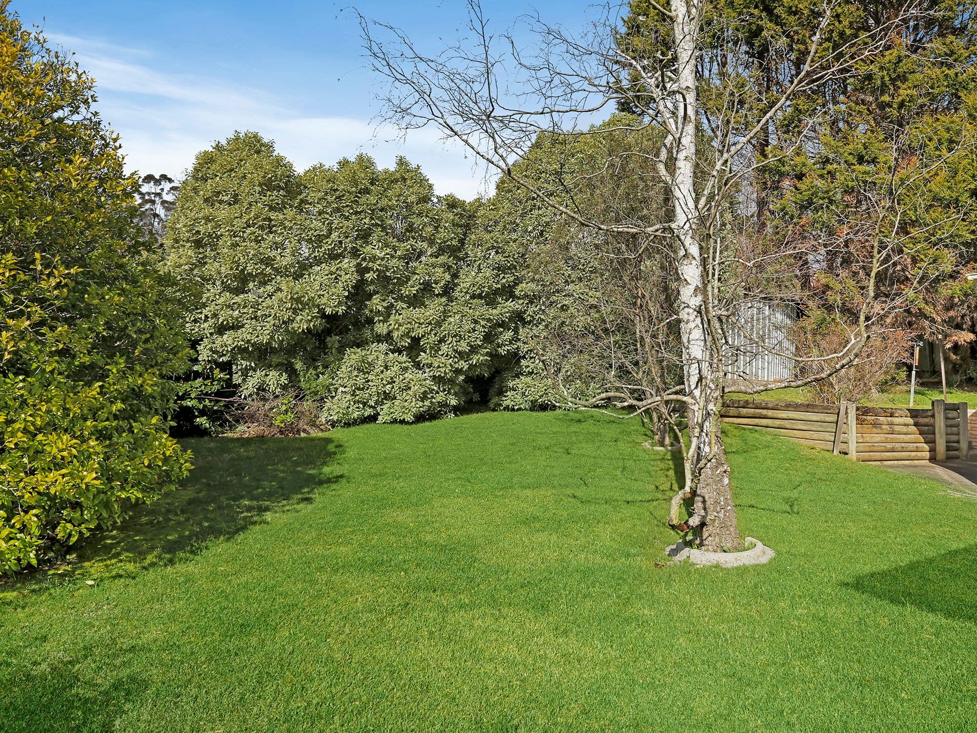 15 Winifred Crescent, Mittagong NSW 2575, Mittagong - Thumbnail 6