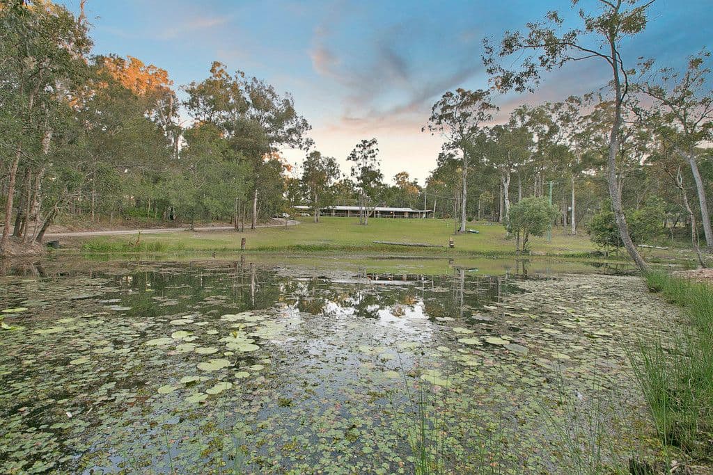 257 Leacroft Road, Burbank QLD 4156, Burbank - Thumbnail 3