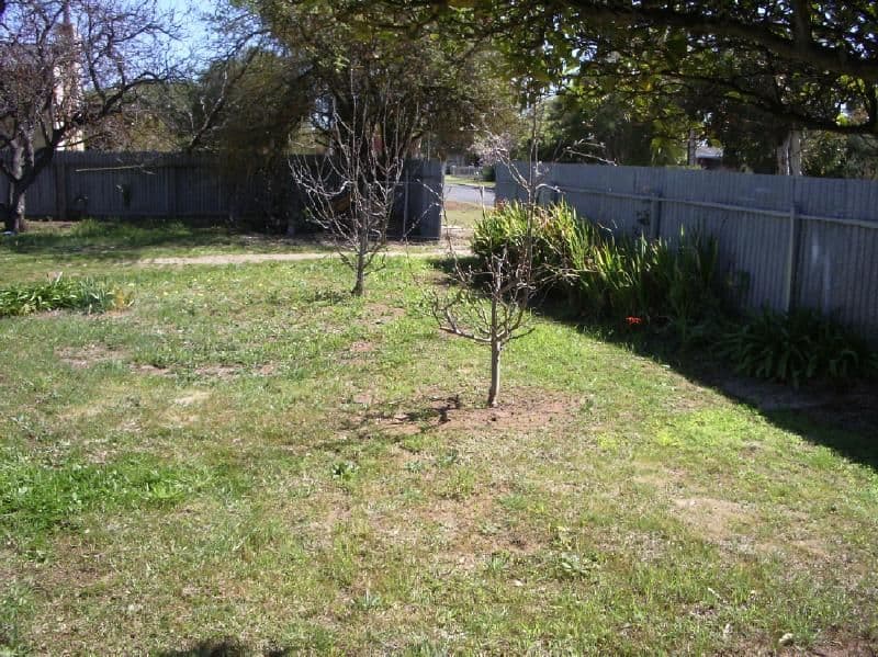 9 Elizabeth Avenue, BORDERTOWN SA 5268, Bordertown - Thumbnail 4