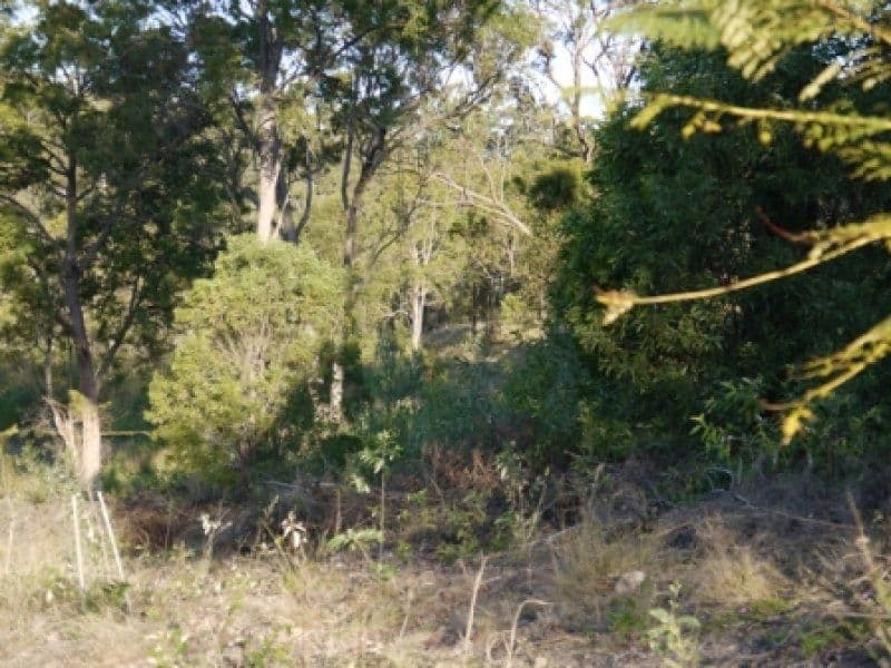 BUCCAN QLD 4207, Buccan - Thumbnail 5