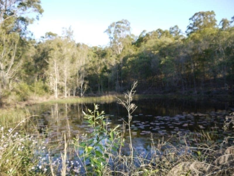 BUCCAN QLD 4207, Buccan - Thumbnail 6