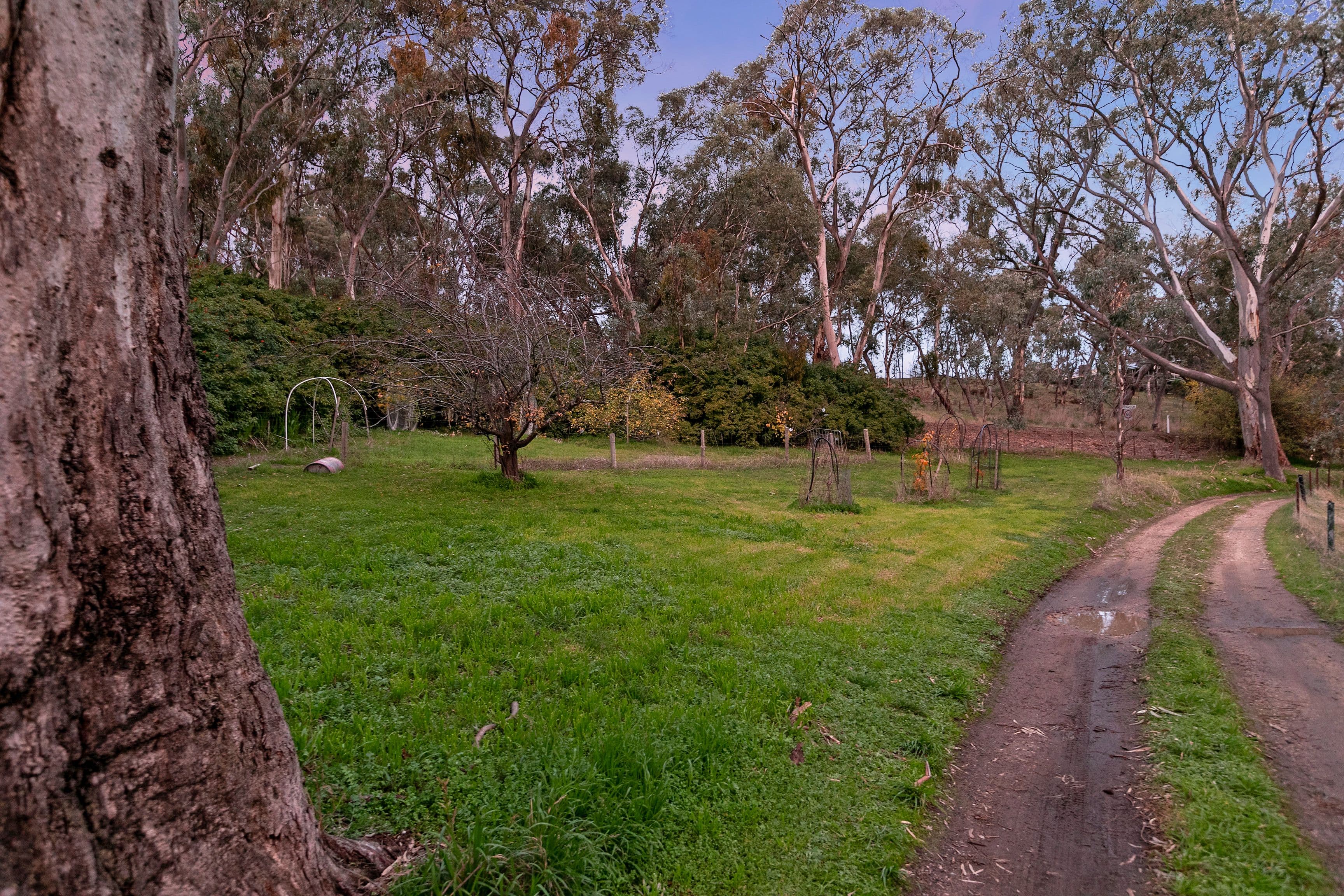 1419 Lower North East Road, Houghton SA 5131, Houghton - Thumbnail 5