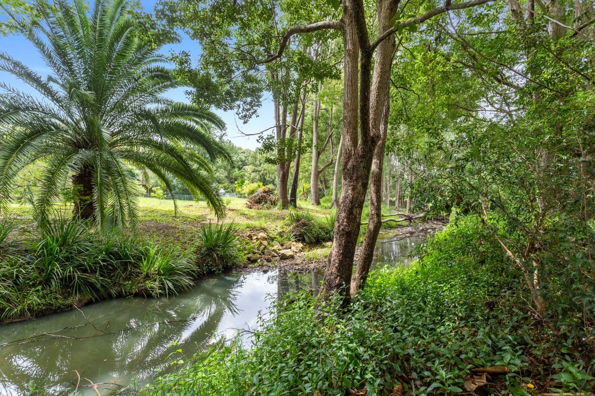 41 Golden  Valley Road, Tallebudgera Valley QLD 4228, Tallebudgera Valley - Thumbnail 4