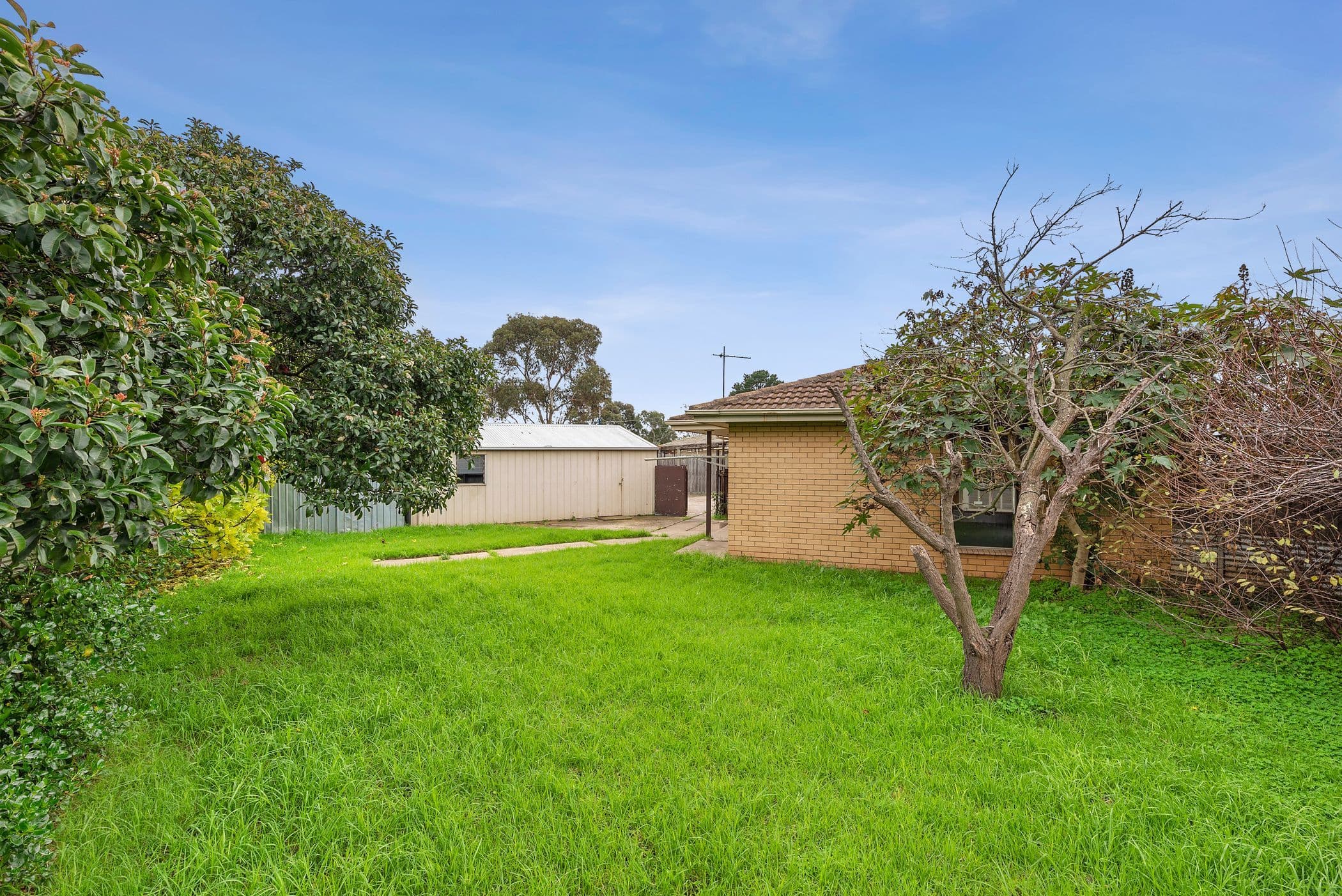 12 Goodall Court, Corio VIC 3214, Corio - Thumbnail 6