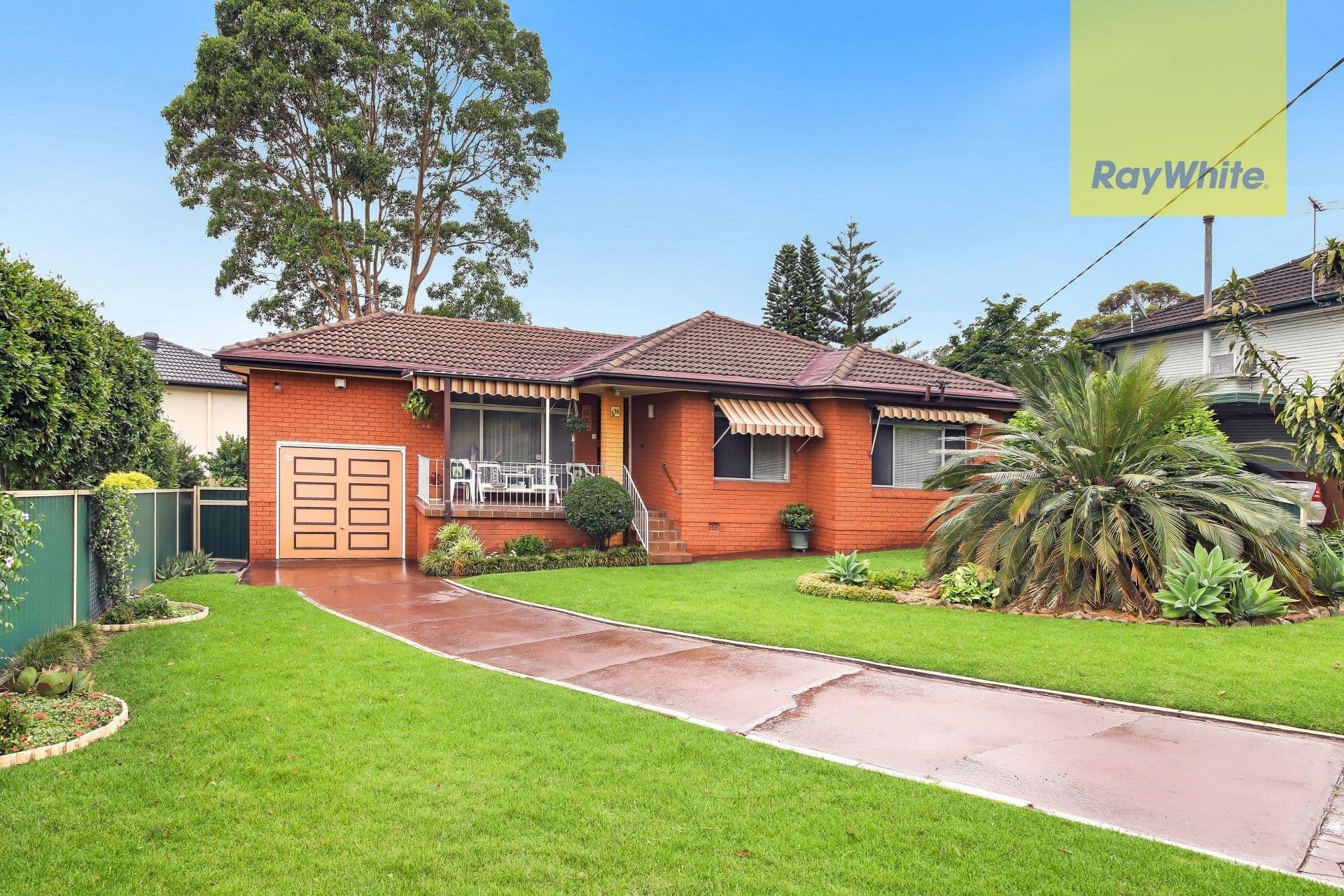 16 Grace Street, Telopea - Image 1