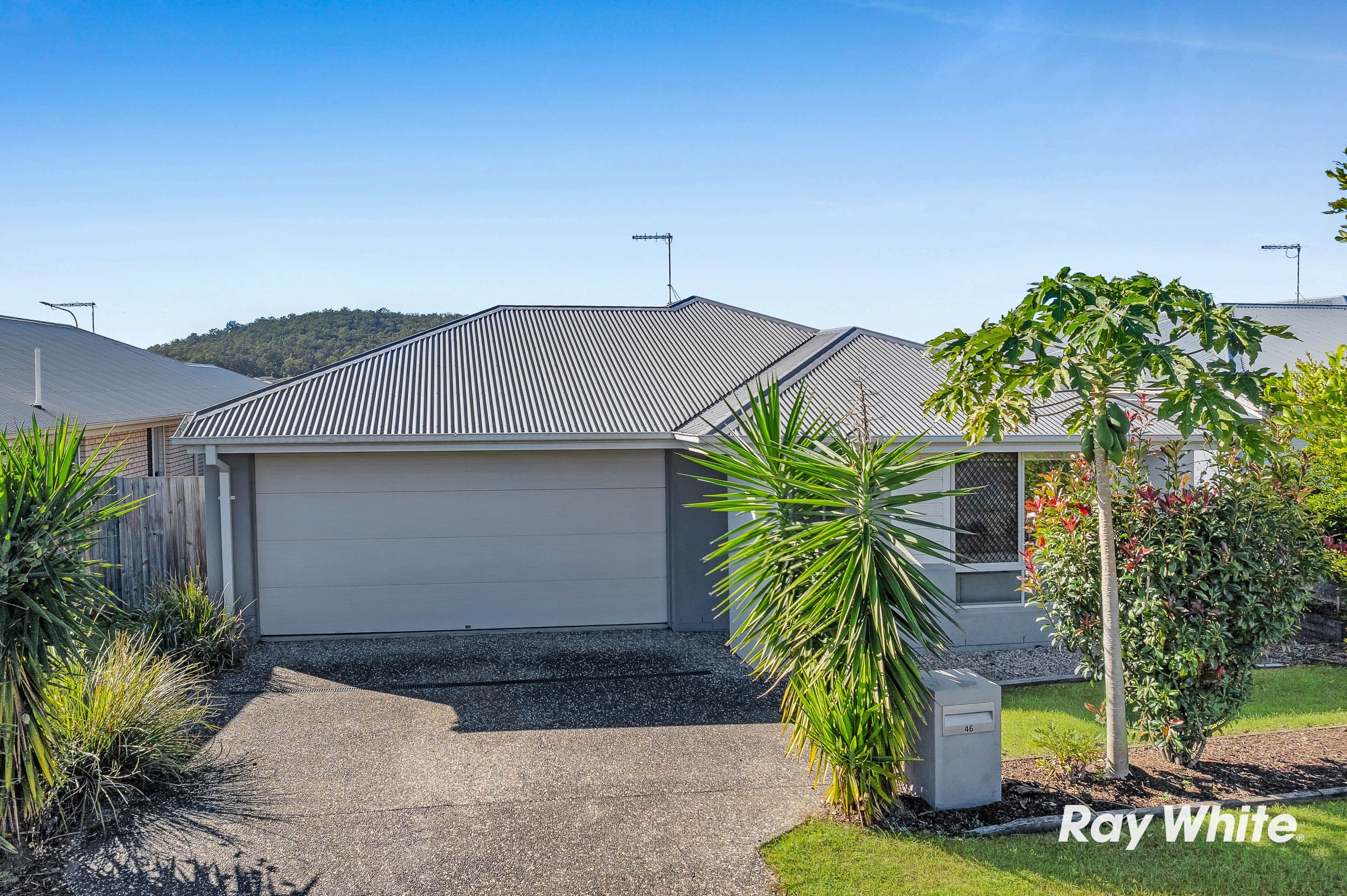 46 Cotton Crescent, Redbank Plains QLD 4301, Redbank Plains - Image 1